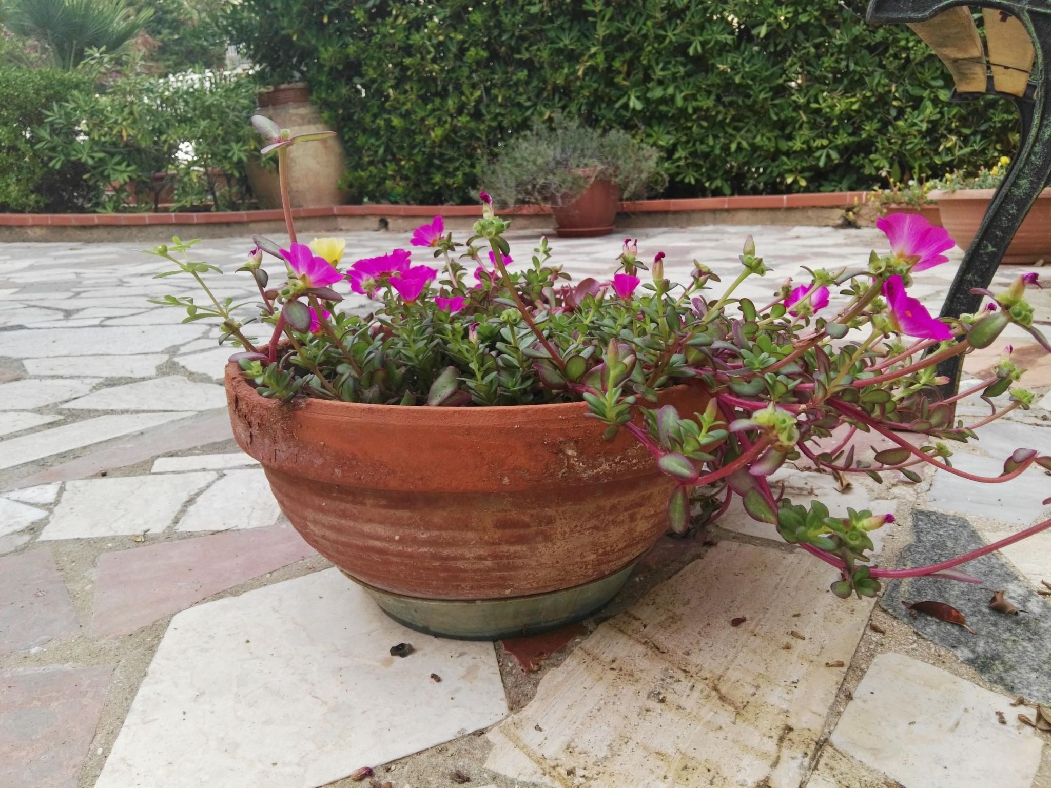 Gemütliche Ferienwohnung Villa Alba-Binnen