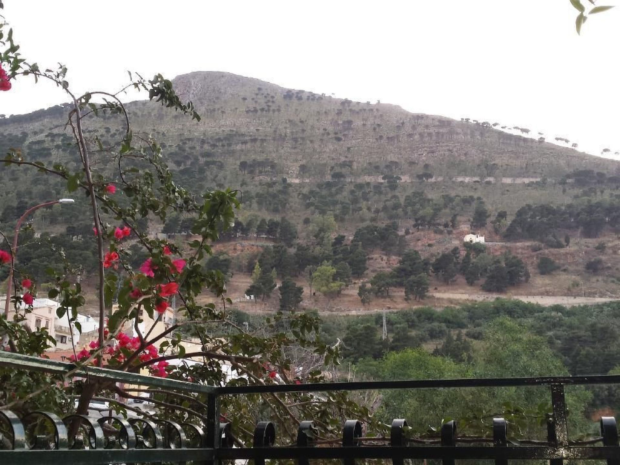 Wohnung mit Wasserblick-Inside