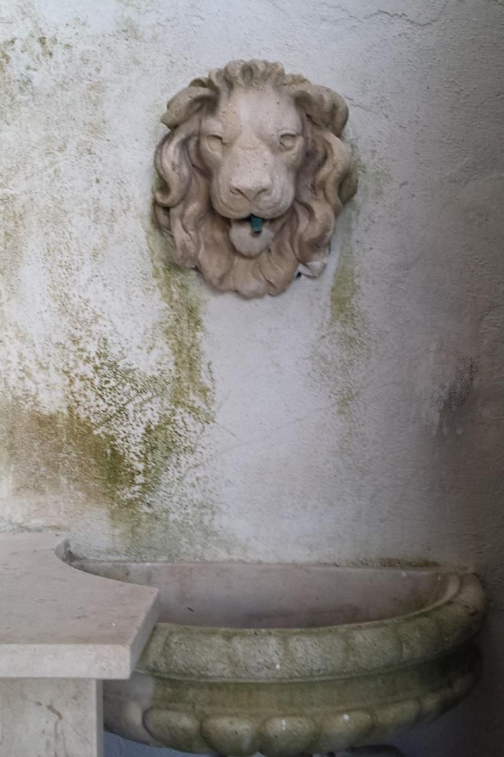 Wohnung mit Wasserblick-Inside