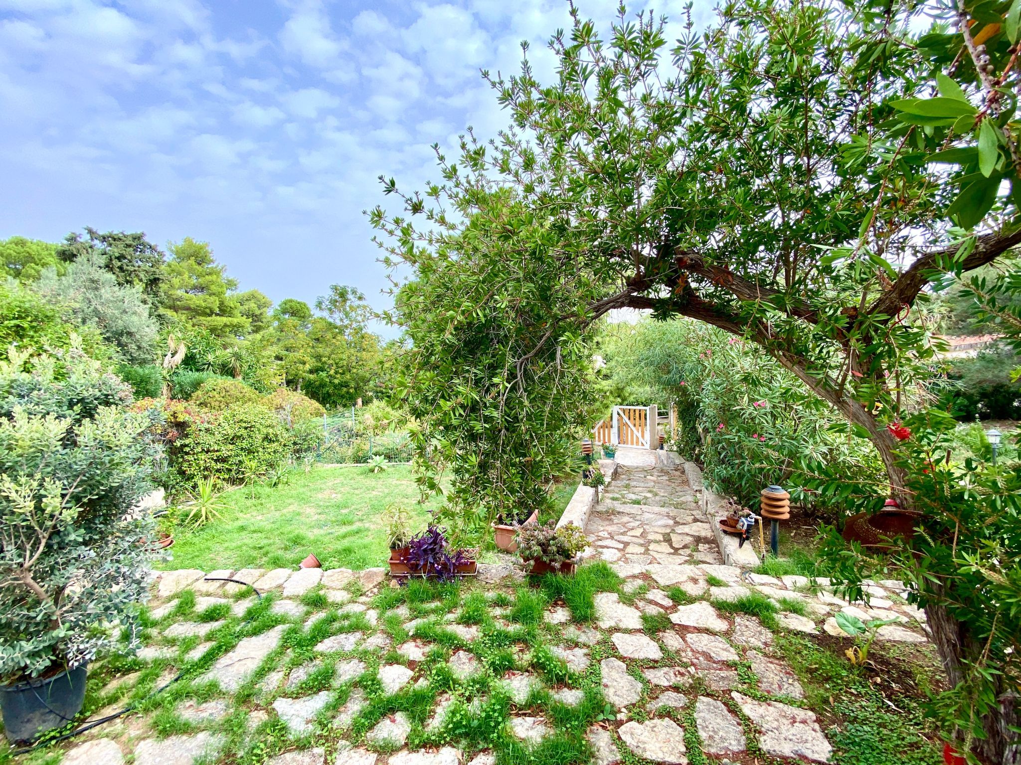 Villa Sao, Scopello, Punta Pispisa-Image-tags.info