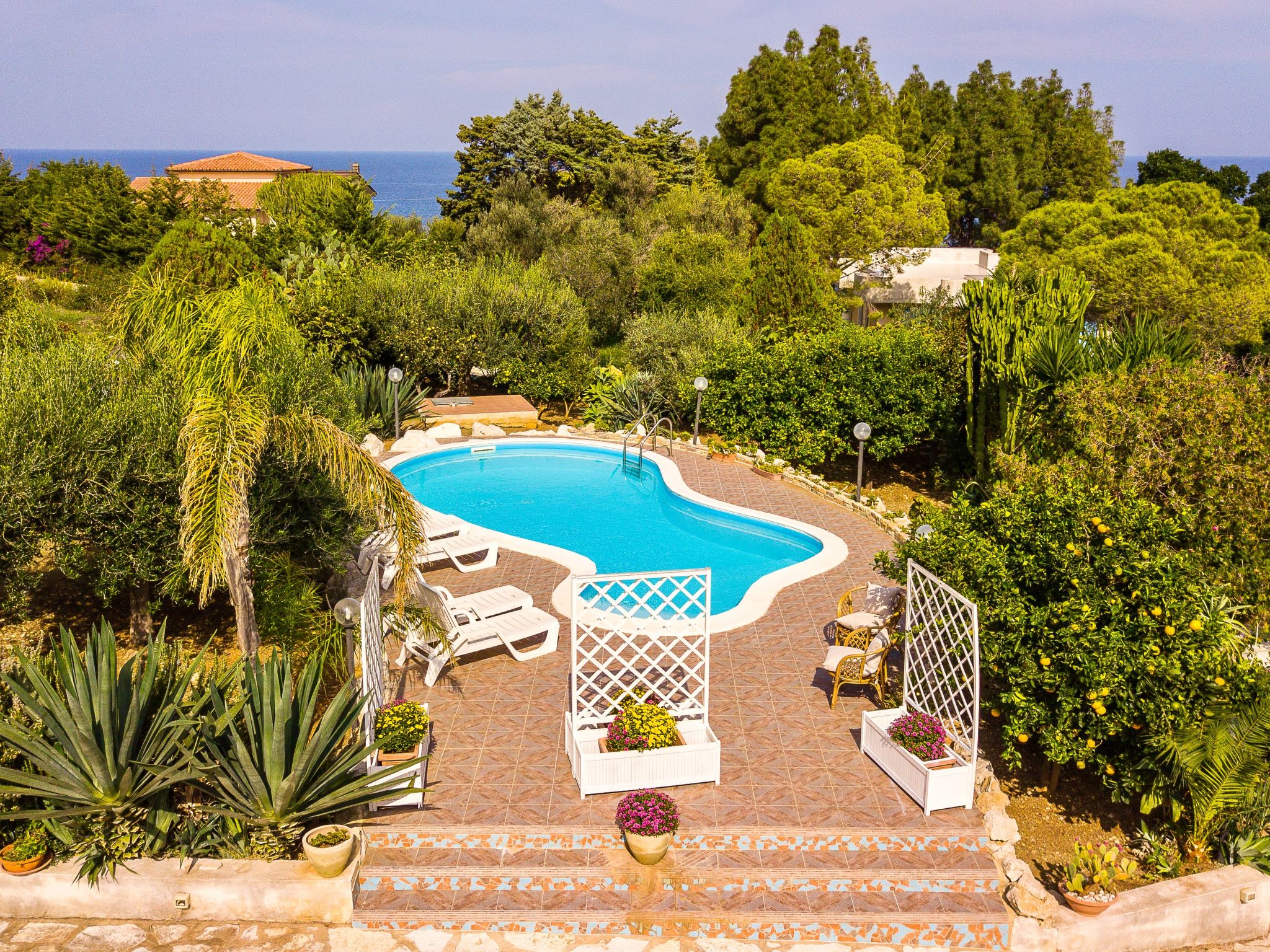La Vela - Image 2