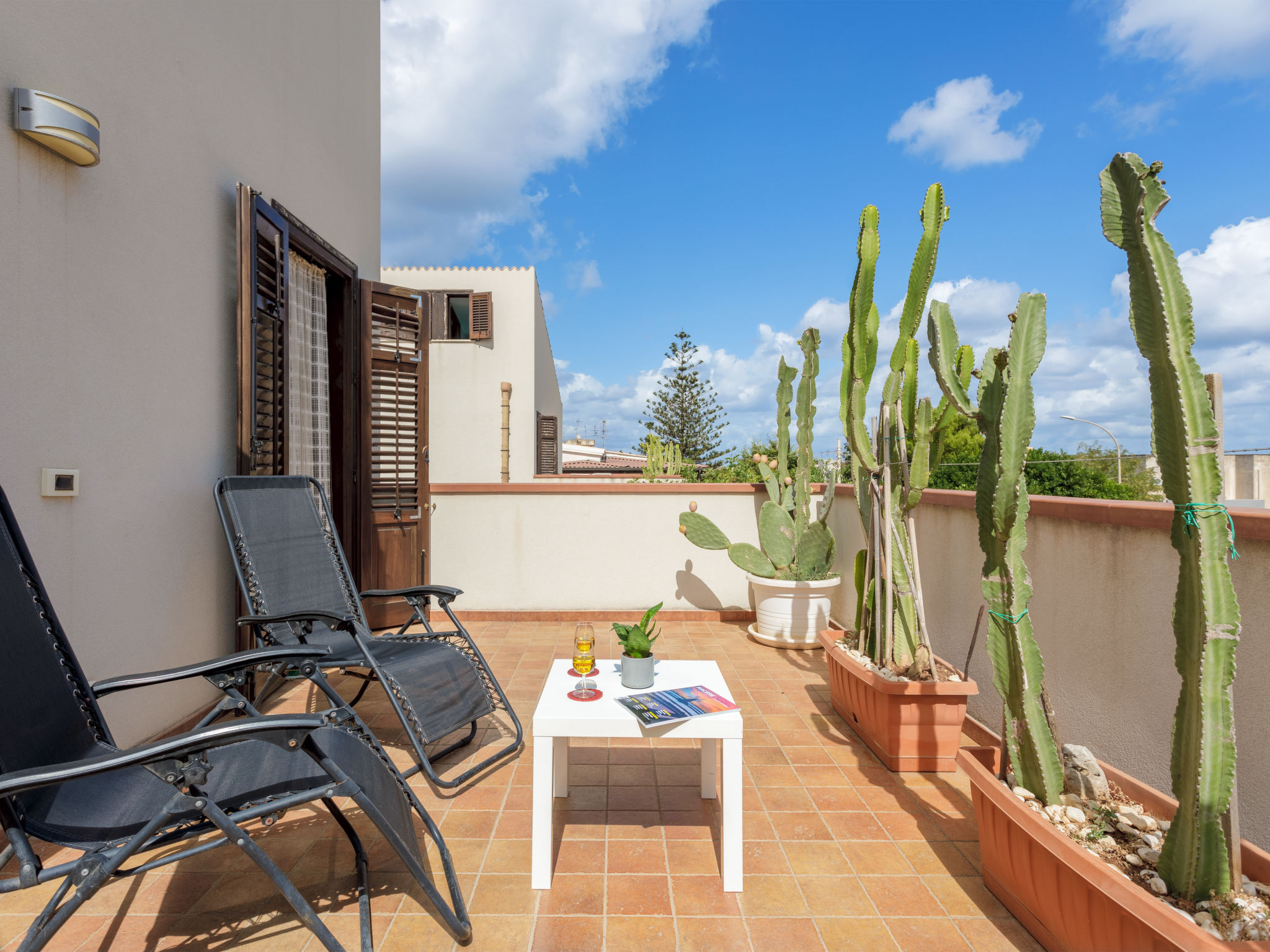 Palma Gaia - Image 3