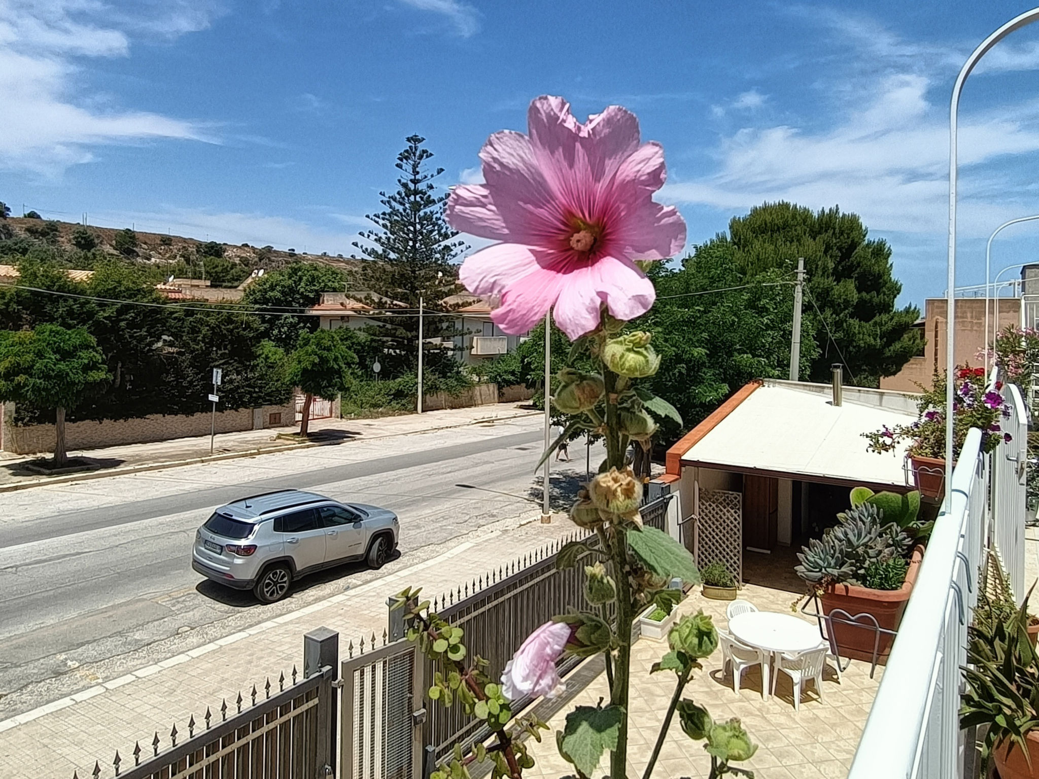 Appartement Carlo Gaia 165 – Vue, photo 21 sur 33