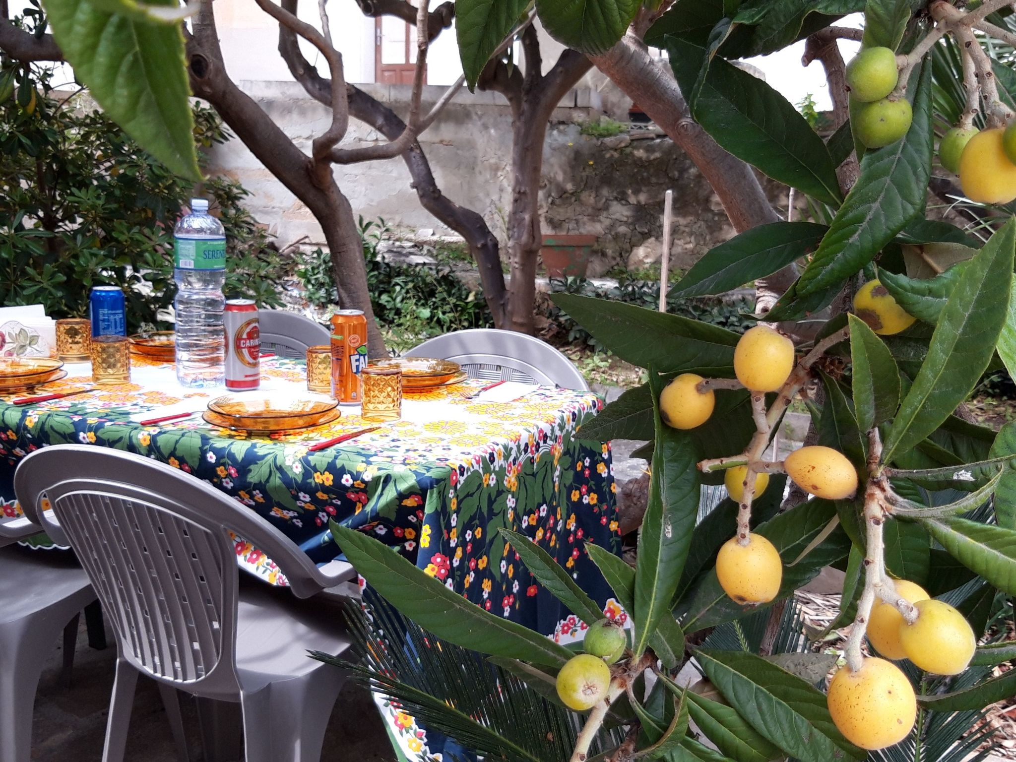 Wohnung in Custonaci mit Kleinem Garten-Image-tags.info