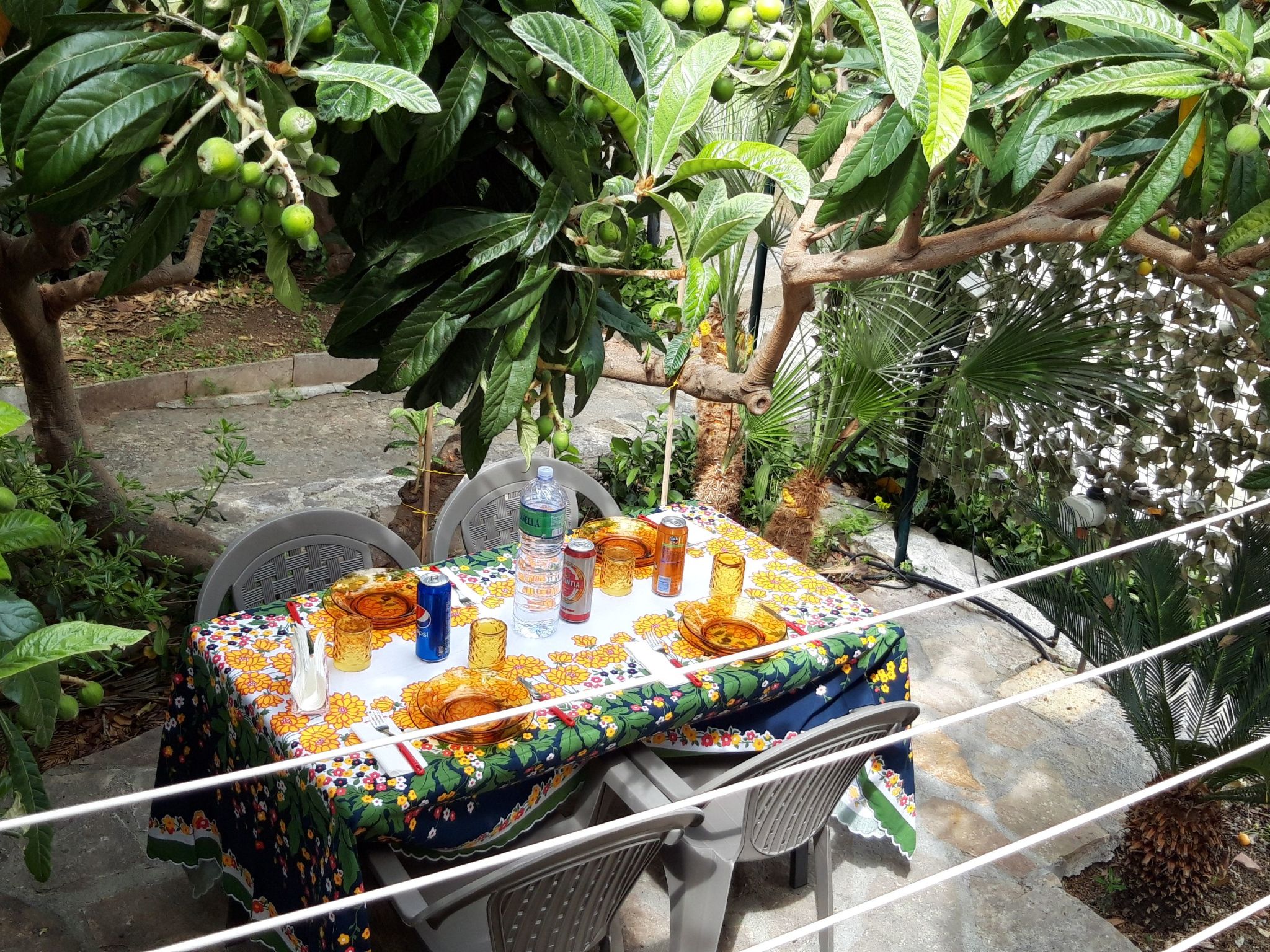 Wohnung in Custonaci mit Kleinem Garten-Image-tags.info