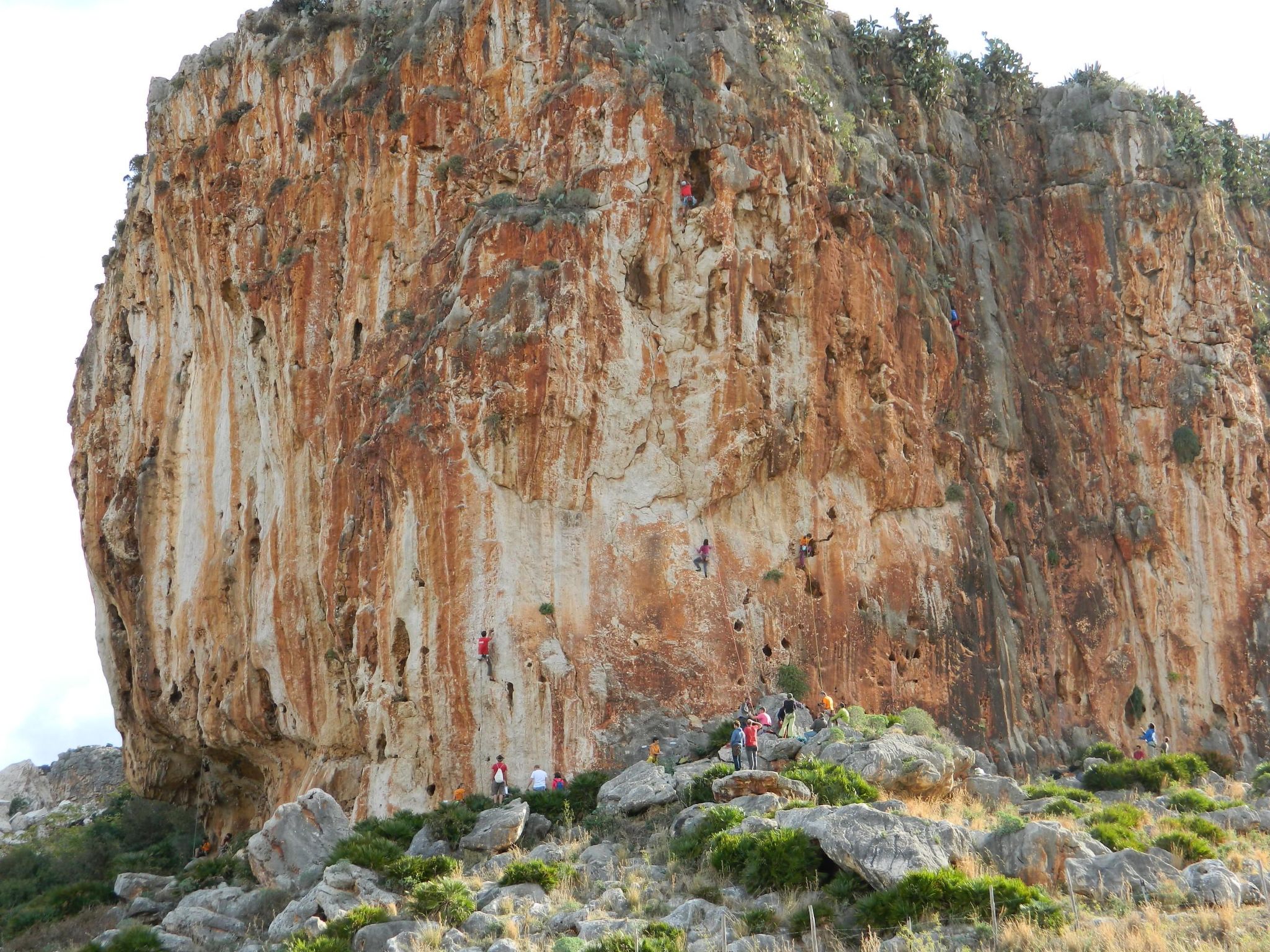 Wohnung in Custonaci mit Kleinem Garten-Image-tags.info
