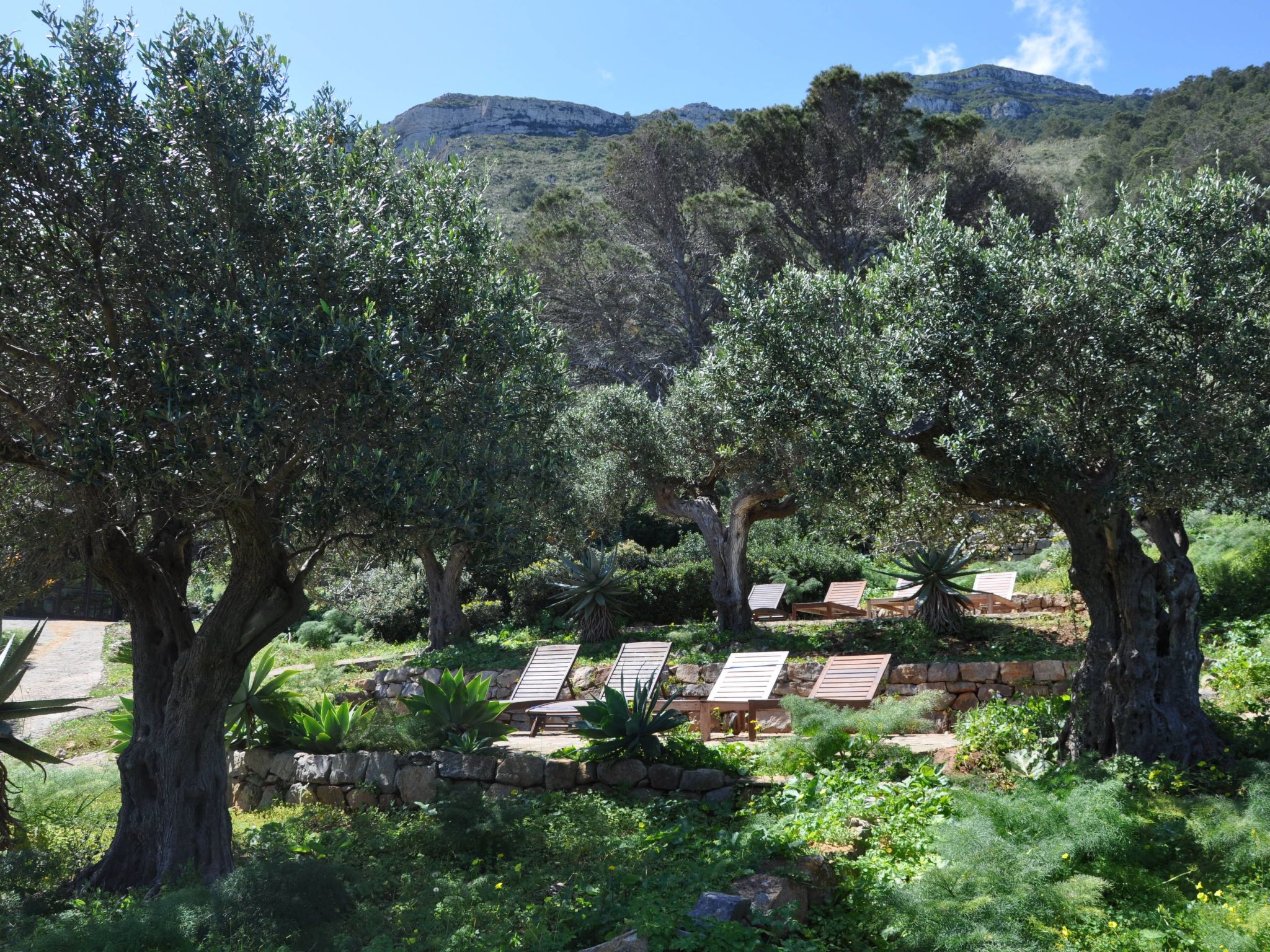 Wohnung in Marettimo mit Terrasse, gemeinsamem Pool und Garten-Dehors