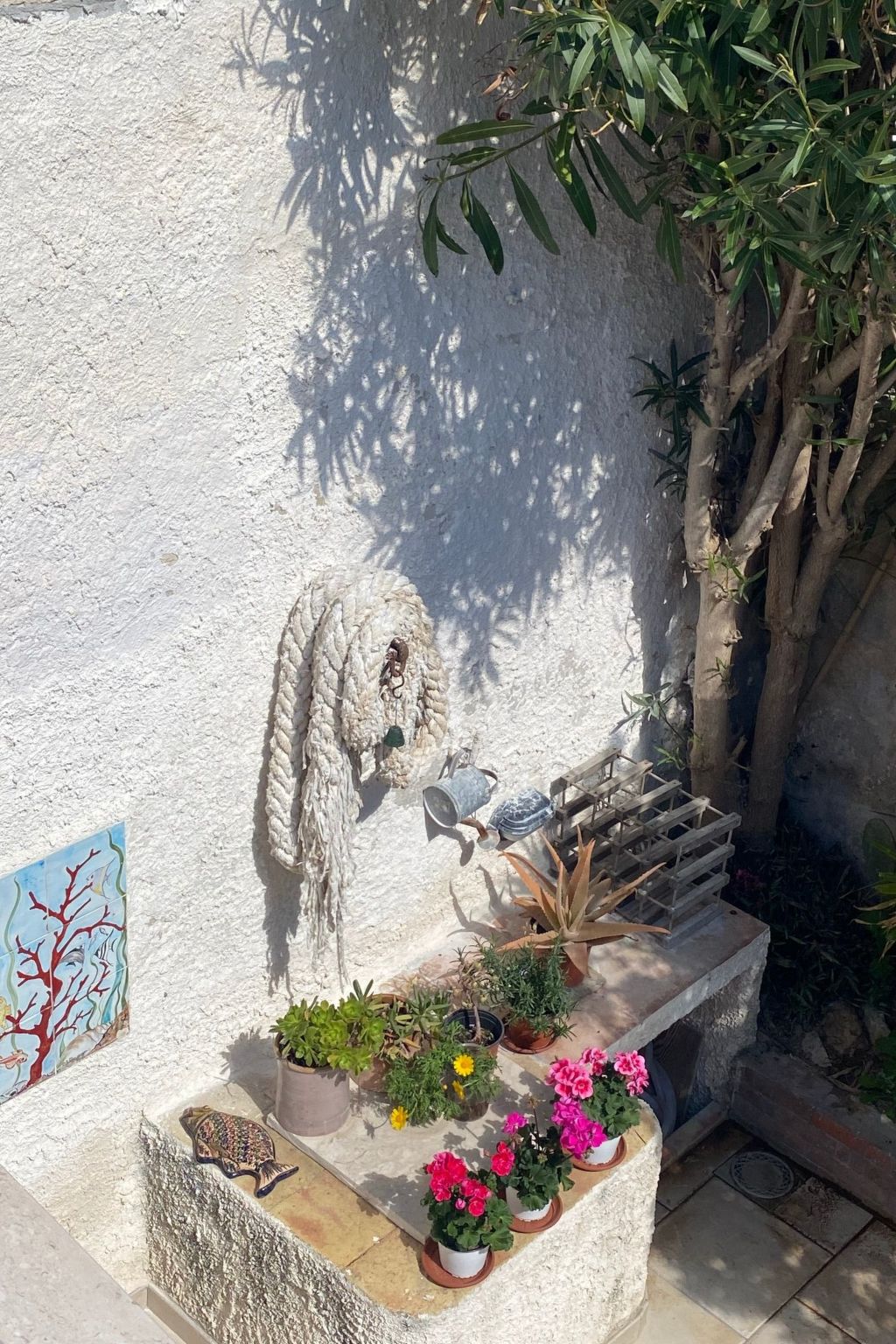 Casetta Favonia - Favignana Insel Sizilien — Terrace (1 of 9)