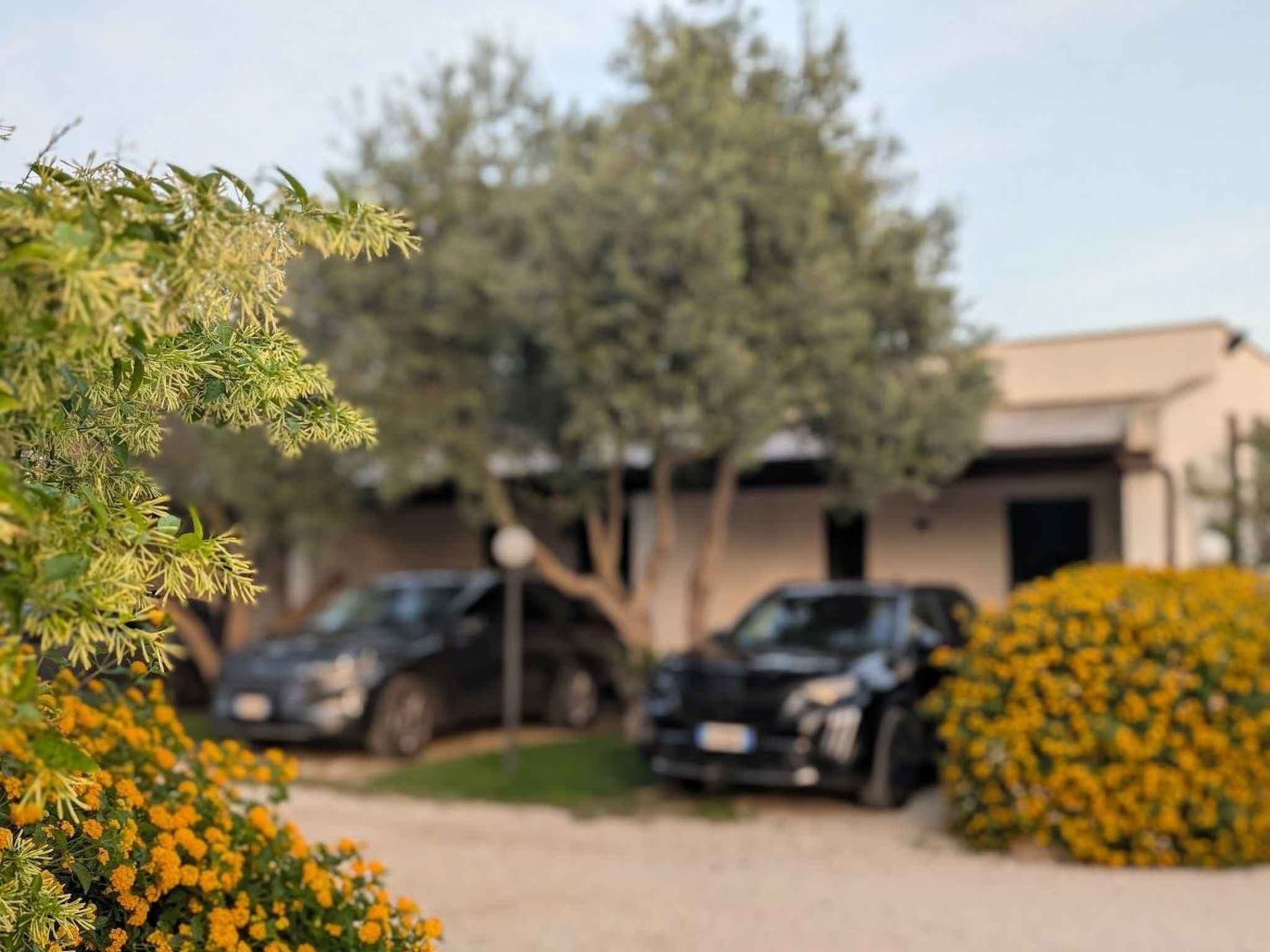 Angenehme Wohnung mit Terrasse, Schwimmbad-Binnen