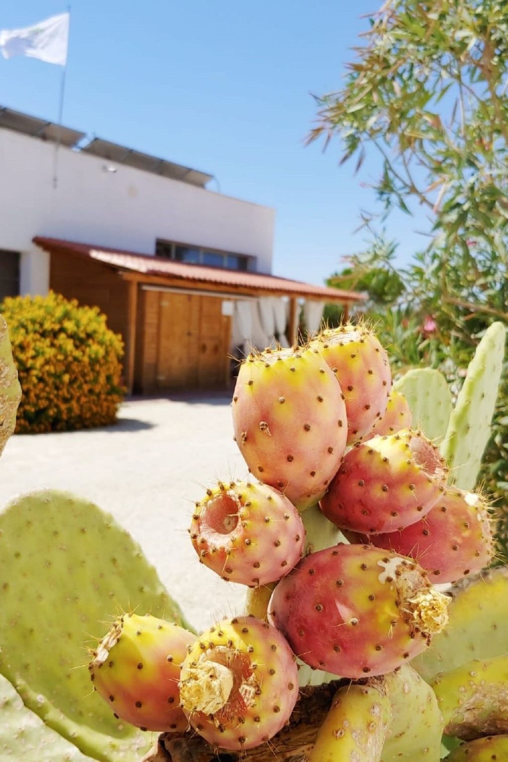 Photo of Appartement in Marsala mit gemeinschaftlichem Pool, Grill und Garten