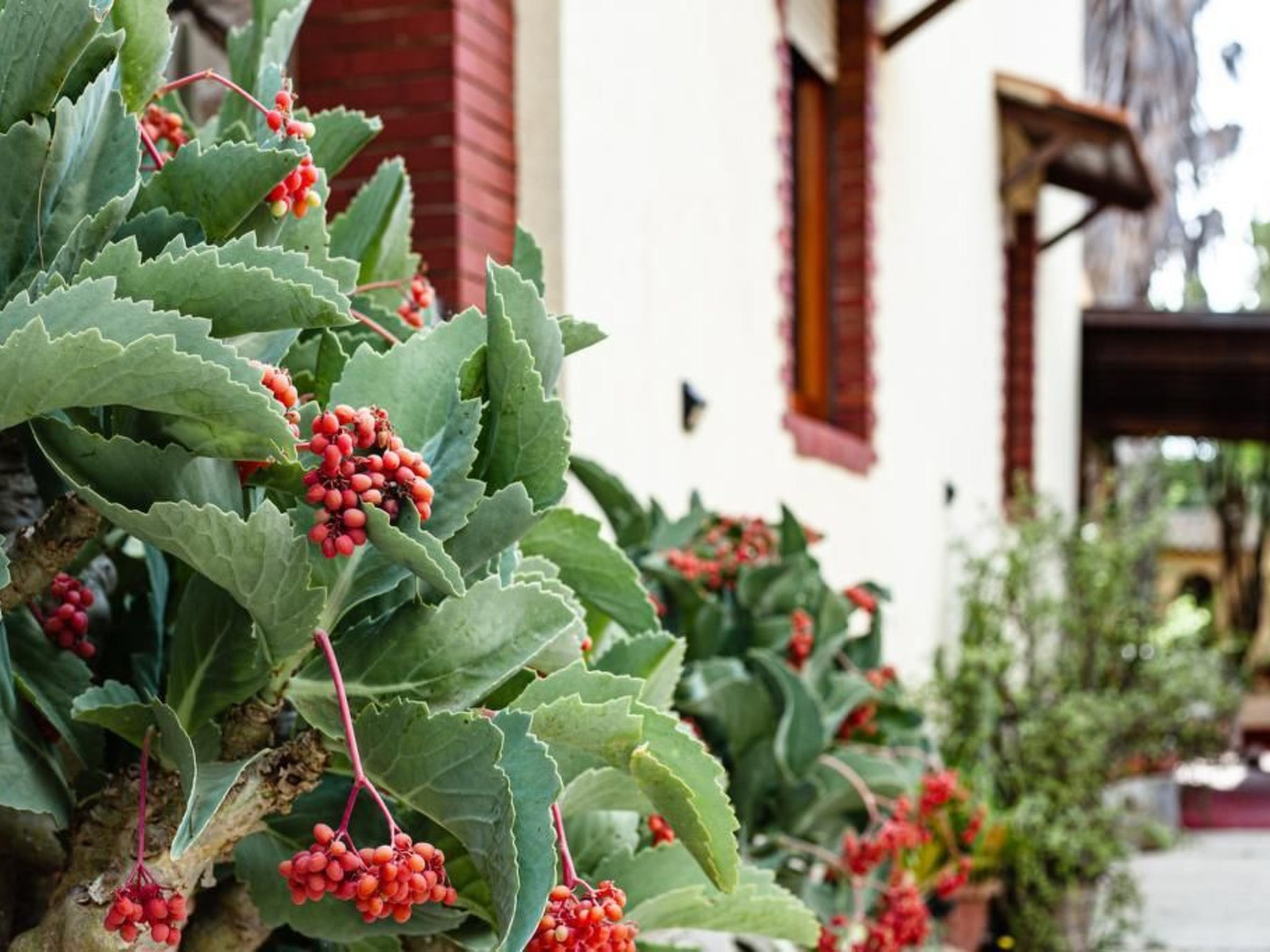 Photo of 'Villino Caterina