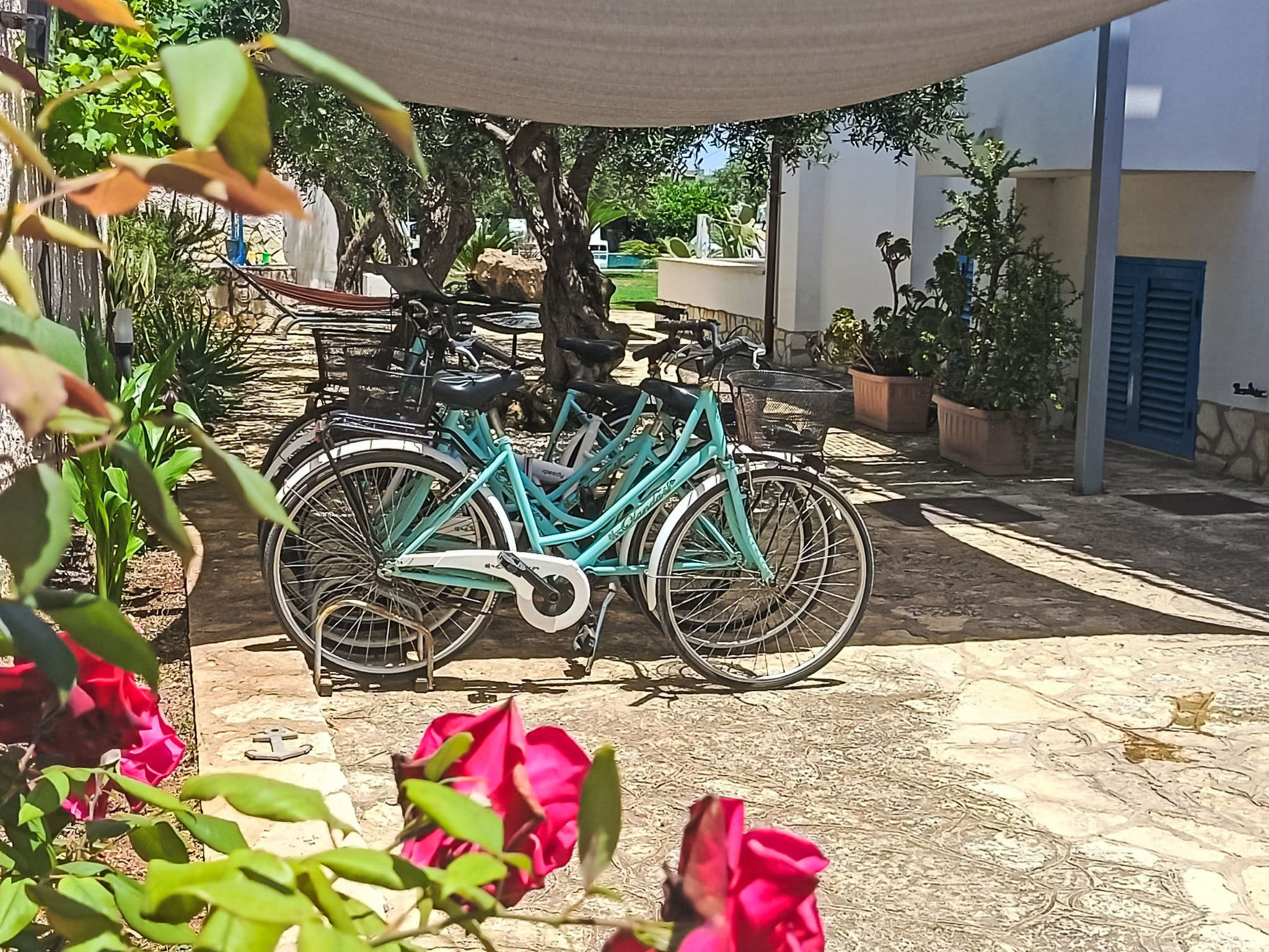 Knusse studio voor 3 personen nabij het strand van Marsala, Sicilië - foto 9