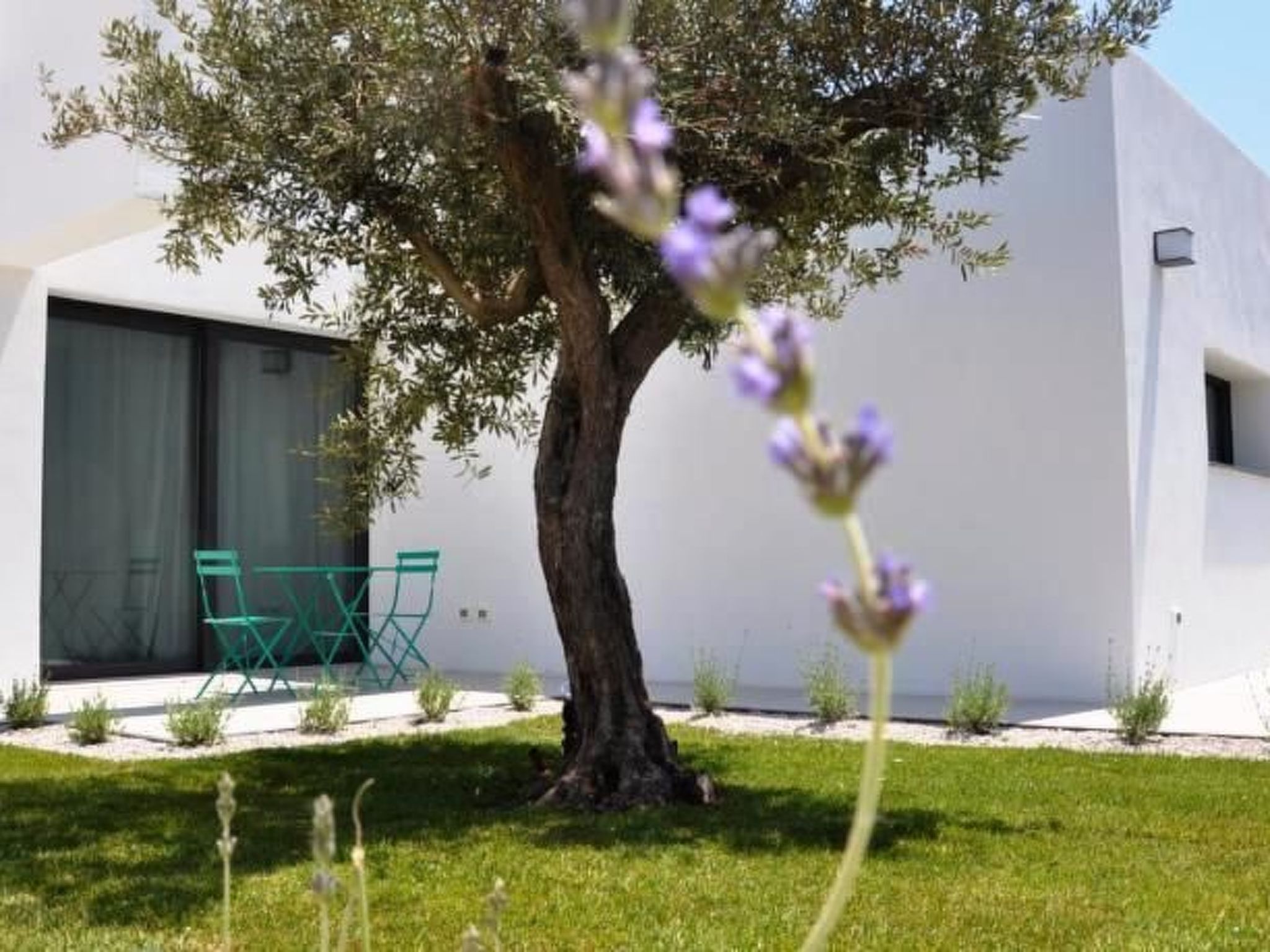 Ferienhaus mit umzäuntem Garten in Menfi (Italien) und 1 Hund erlaubt