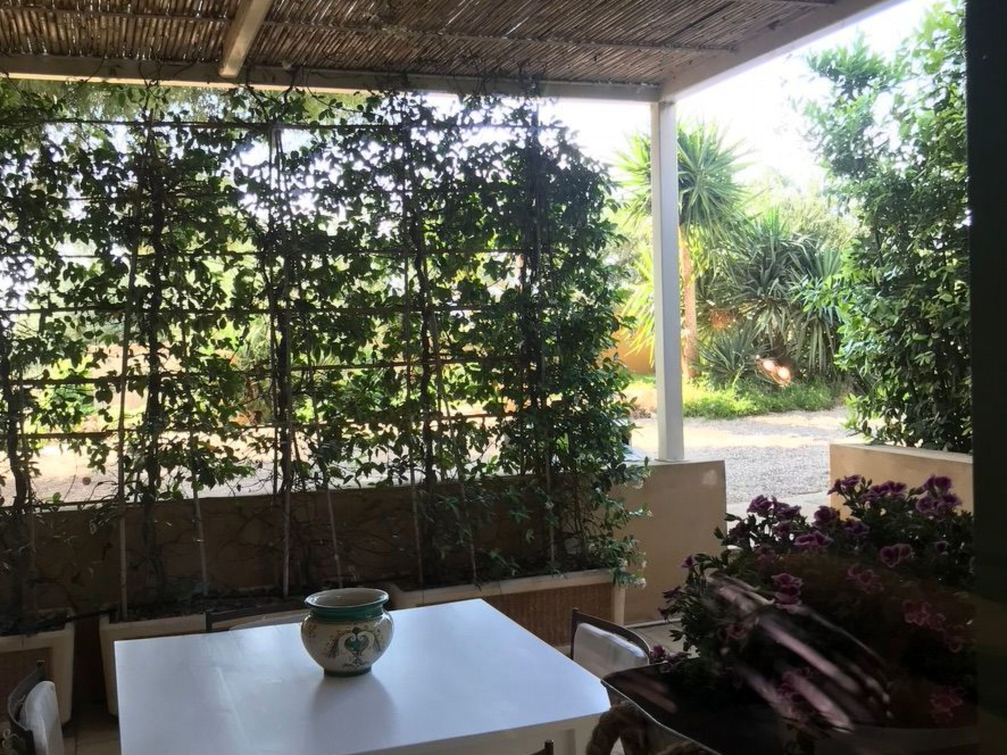 Graffeo Häuser - Haus Jasmin-Image-tags.info