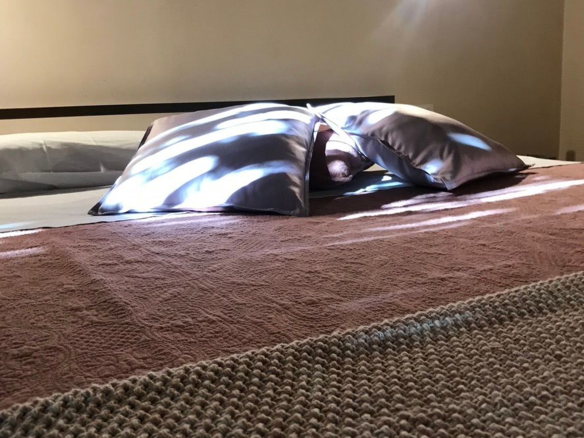 Graffeo Häuser - Haus Jasmin-Image-tags.info