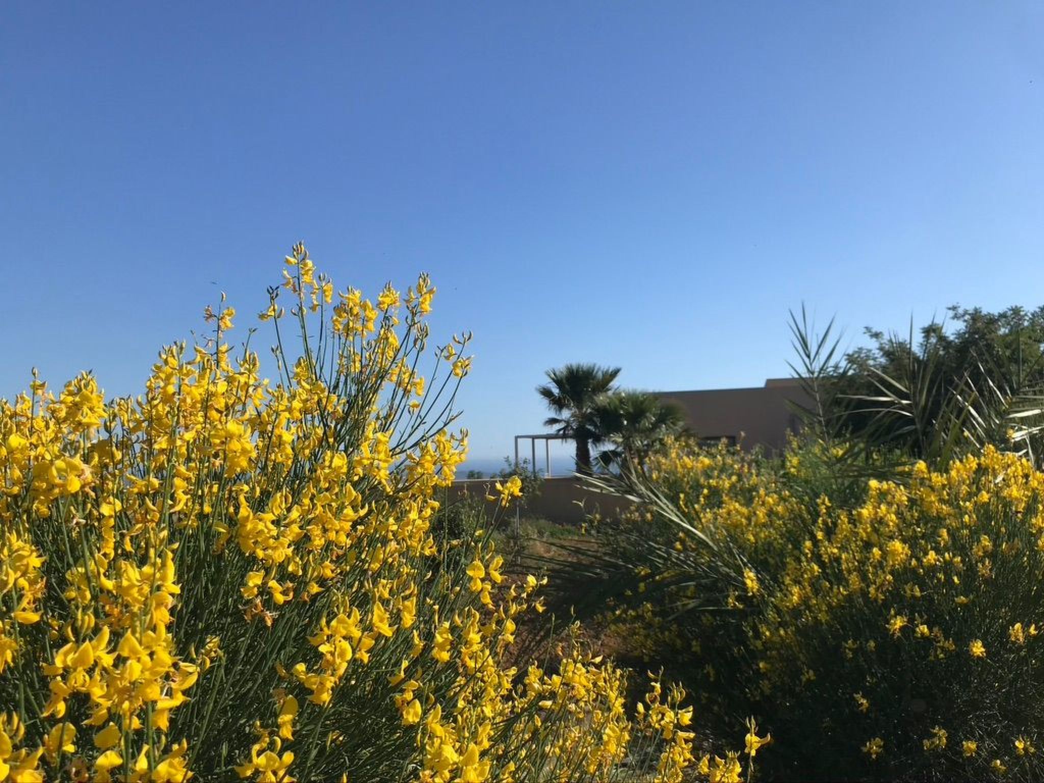 Graffeo Häuser - Haus Jasmin-Image-tags.info