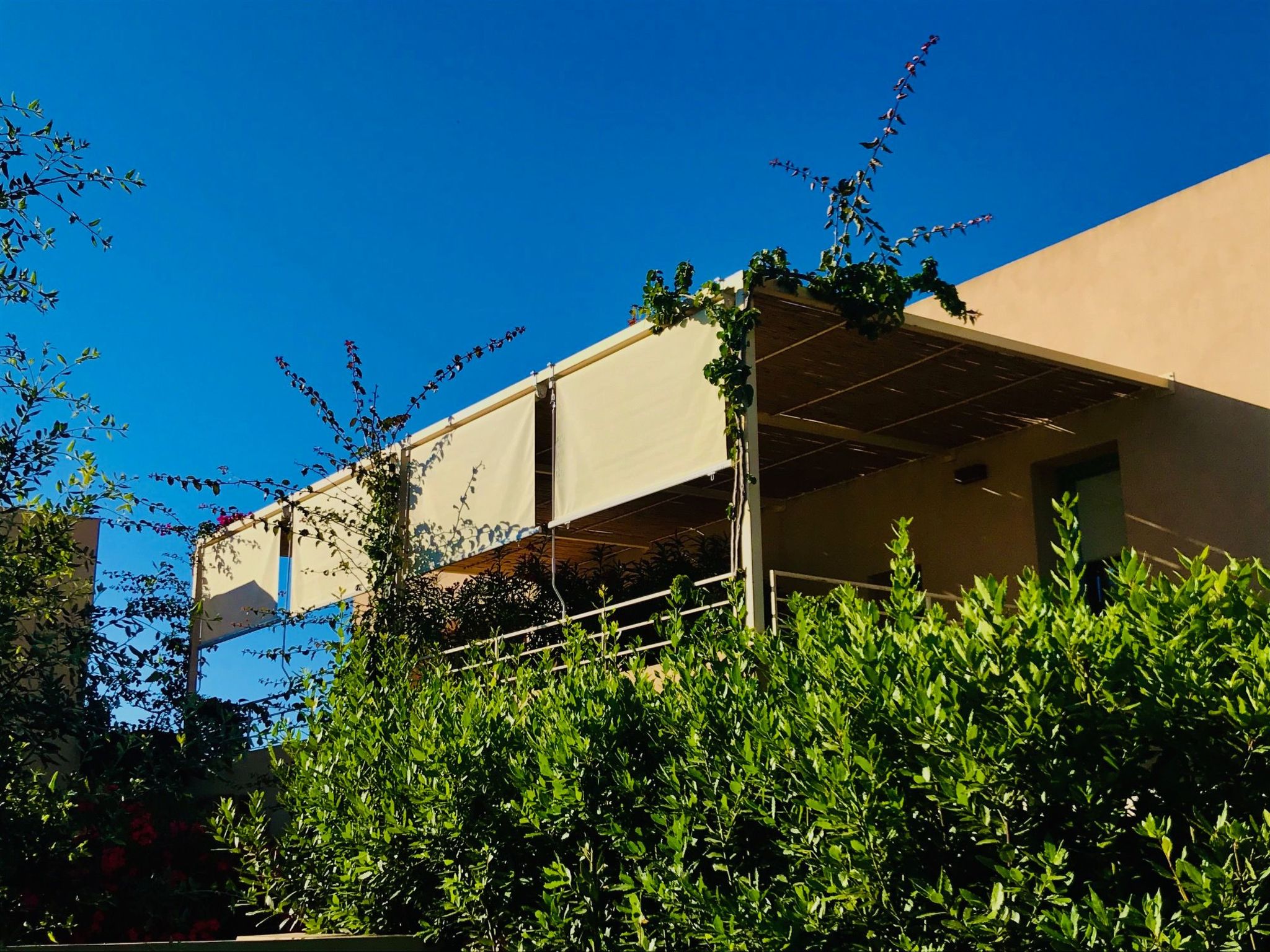 Graffeo Häuser - Haus Jasmin-Image-tags.info