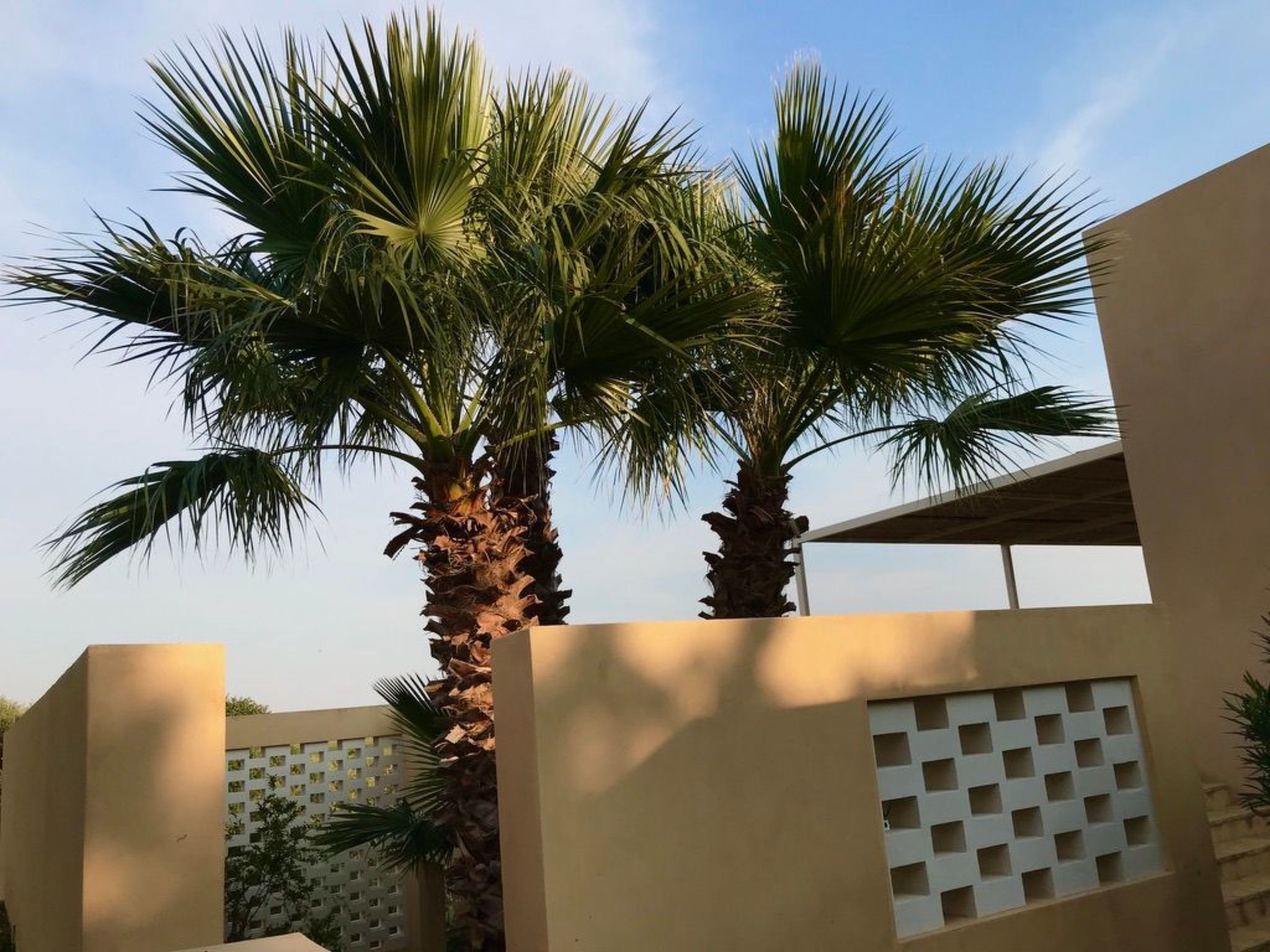 Haus der Palme in Menfi