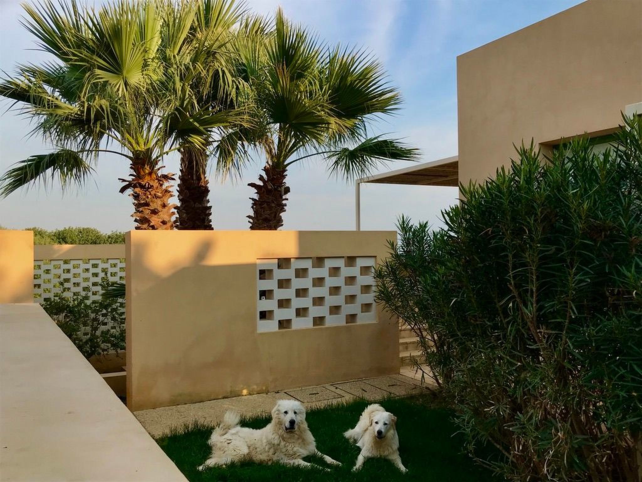 Haus der Palme in Menfi-Image-tags.info