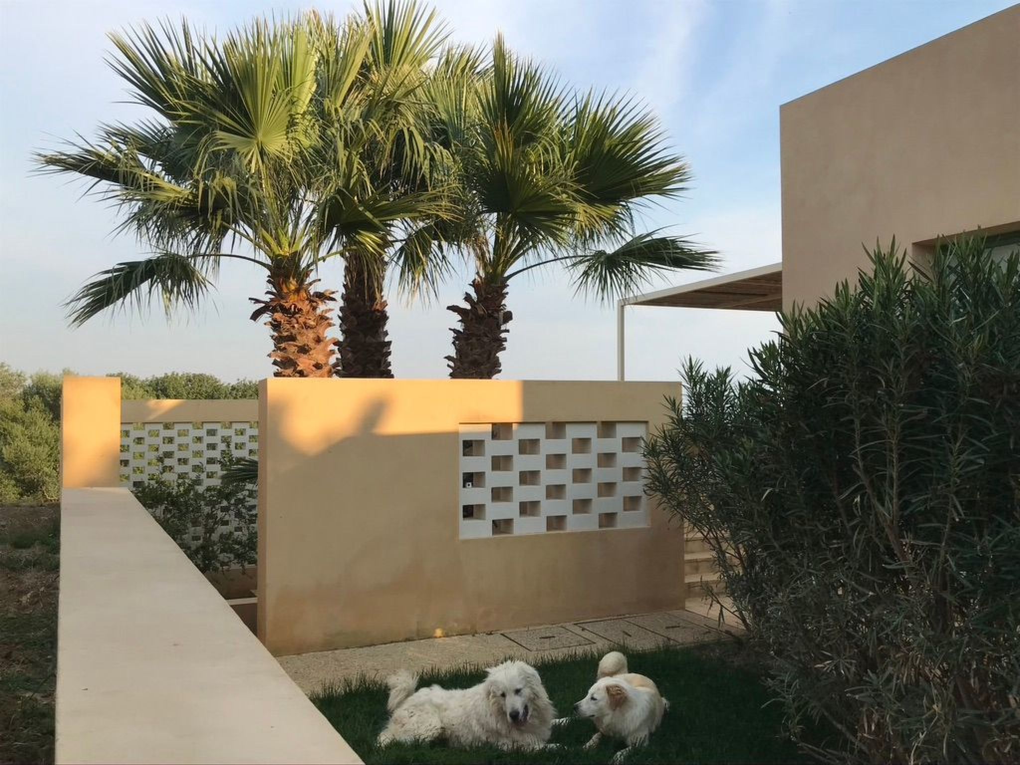 Haus der Palme in Menfi-Image-tags.info