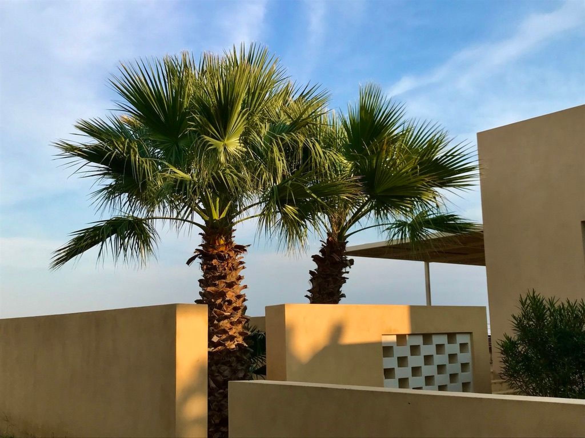 Haus der Palme in Menfi-Image-tags.info