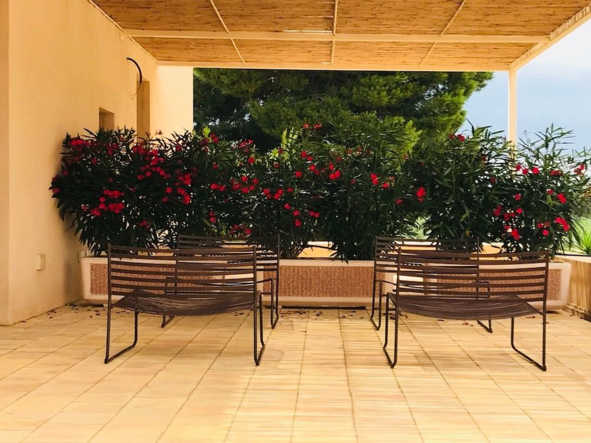 Graffeo-Häuser Haus der Rosen-Image-tags.info