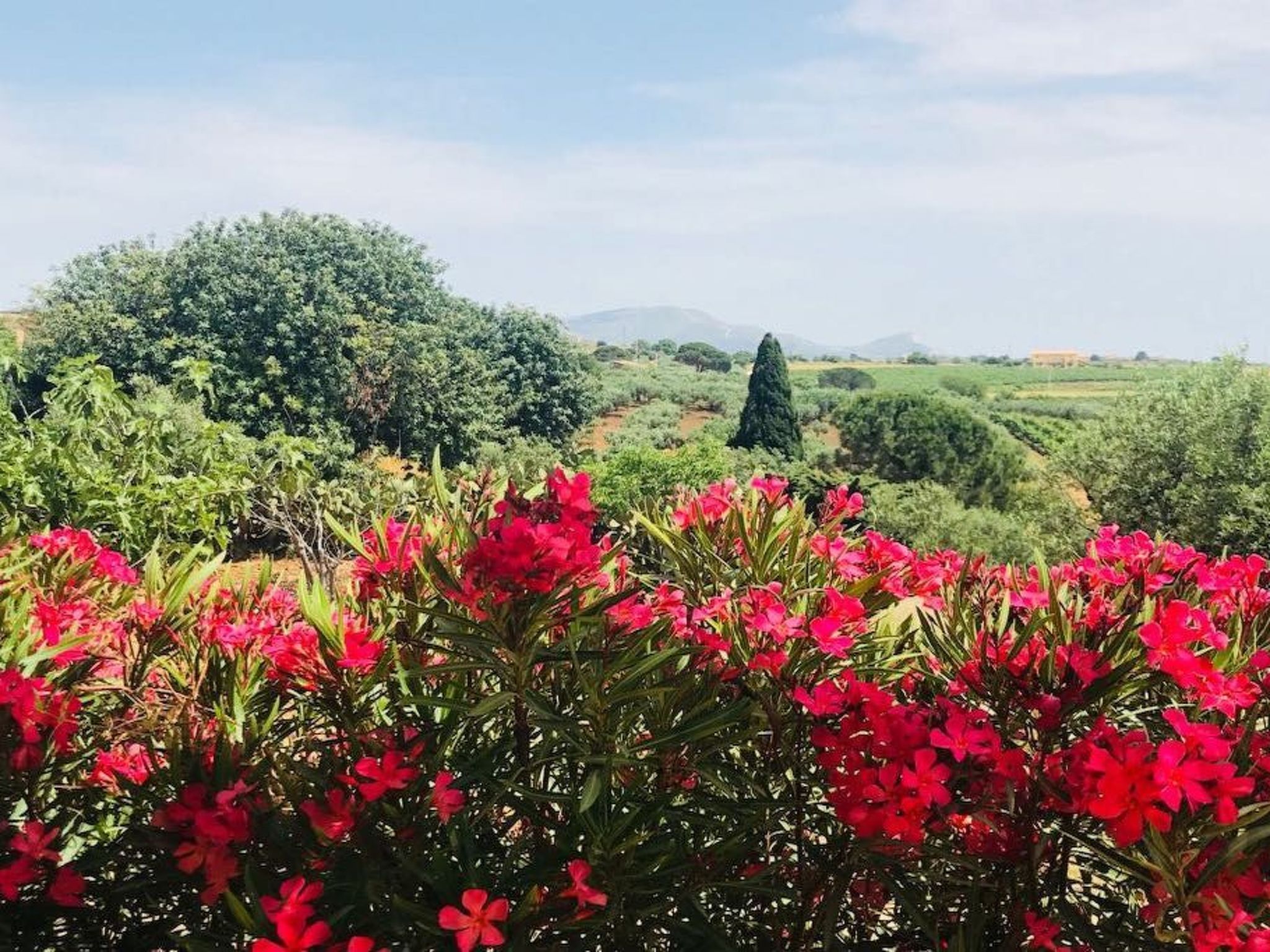 Graffeo-Häuser Haus der Rosen-Image-tags.info