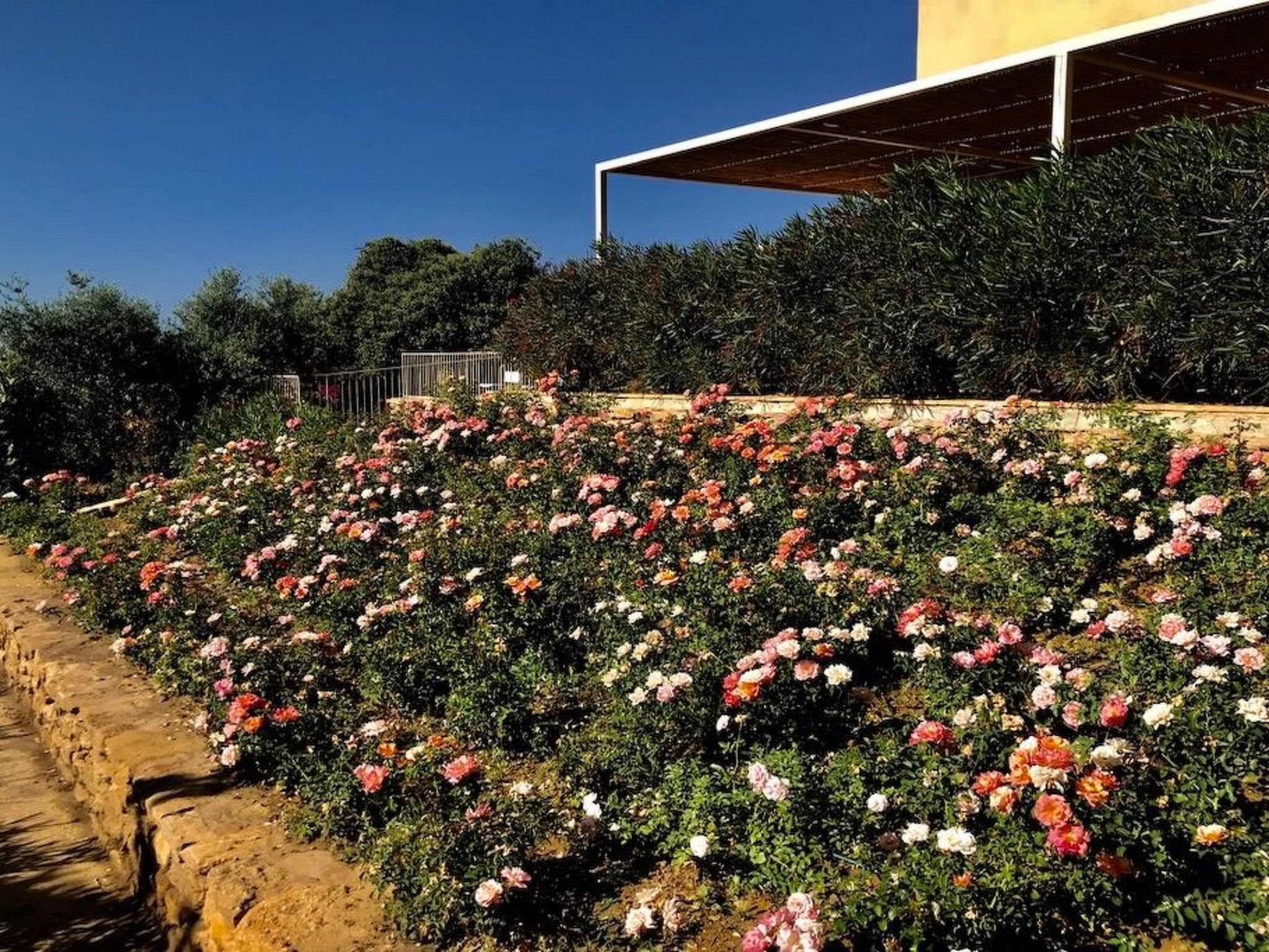 Graffeo-Häuser Haus der Rosen-Image-tags.info