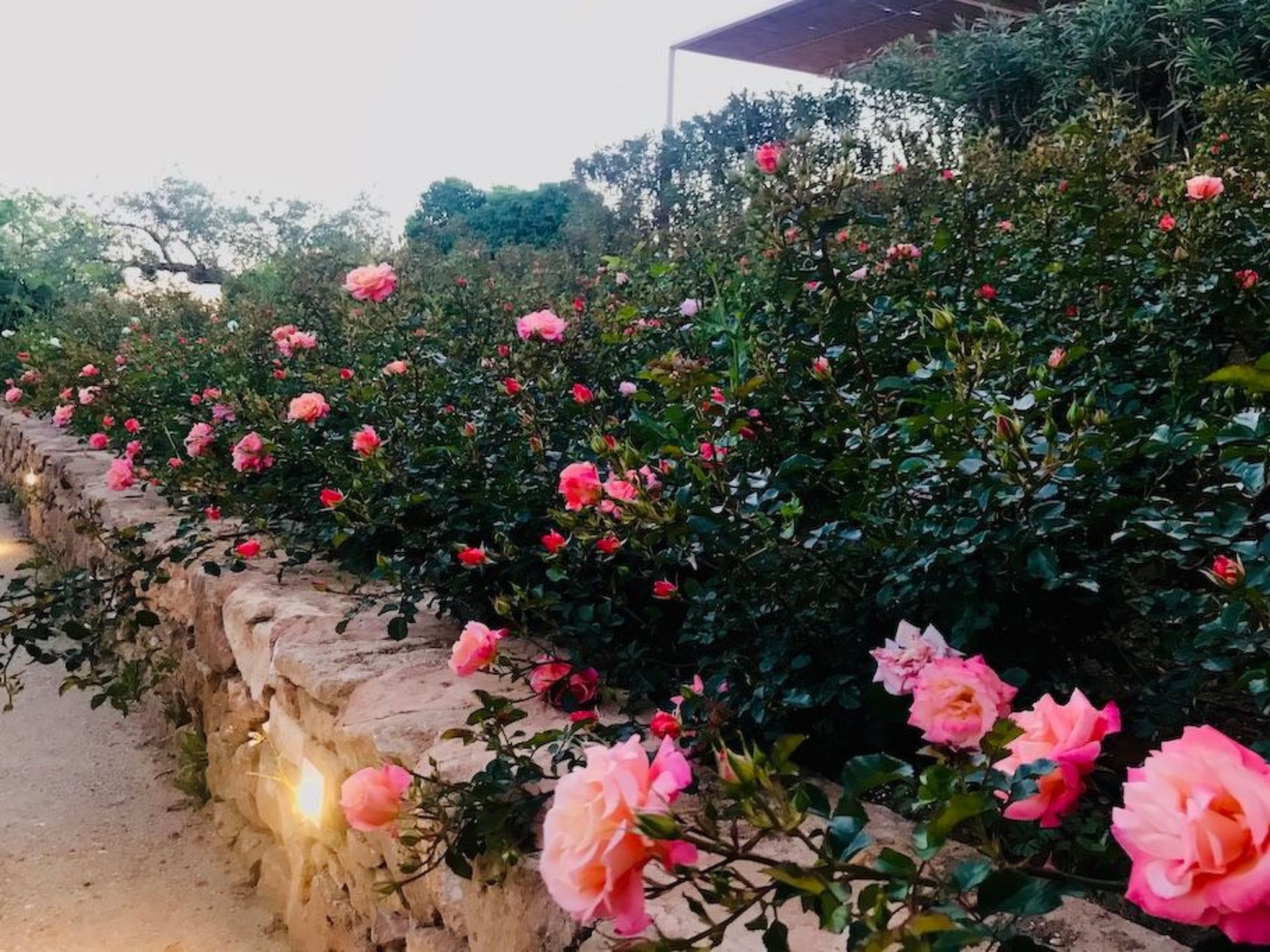 Graffeo-Häuser Haus der Rosen-Image-tags.info