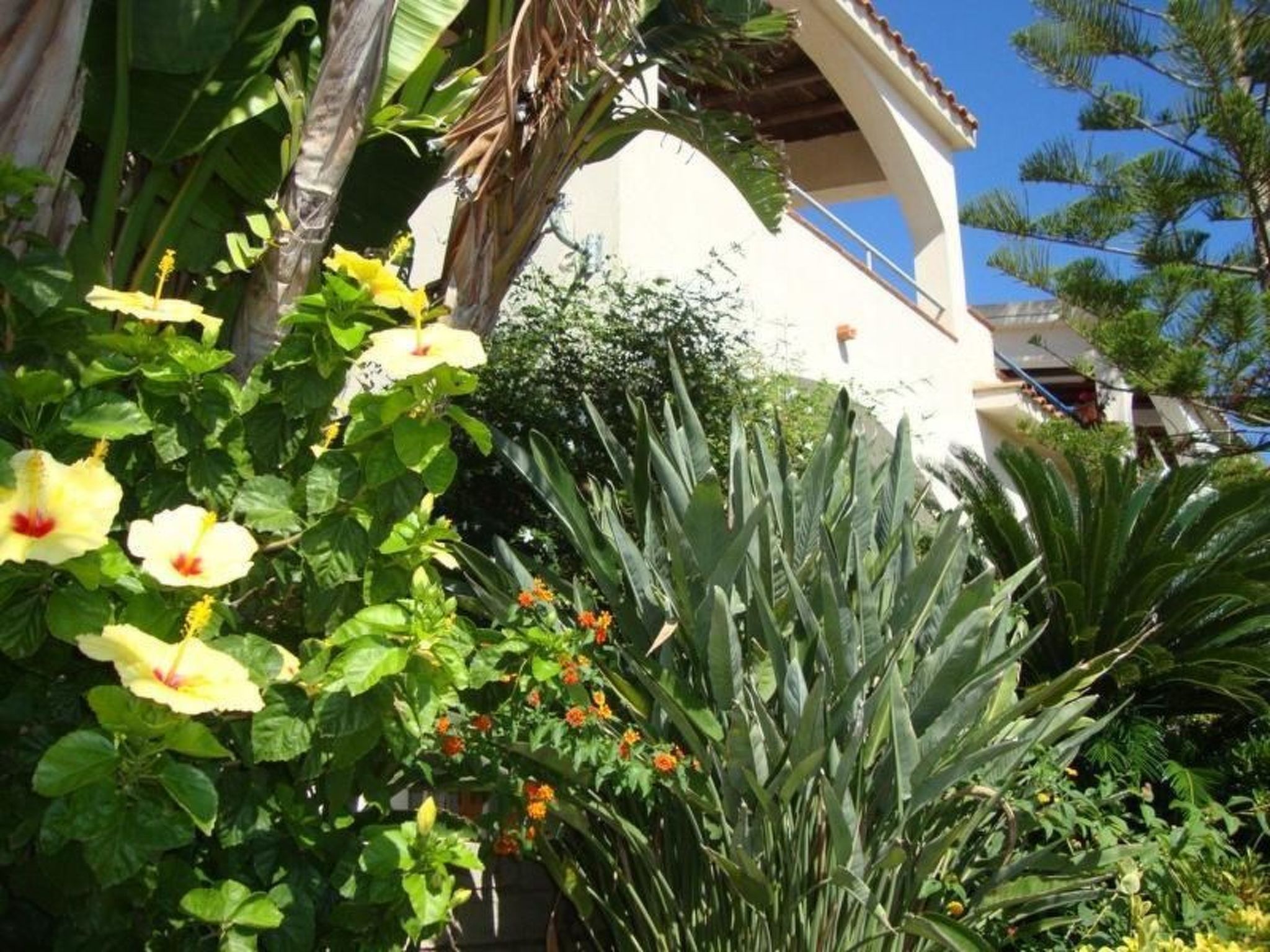 Renella' Wohnung mit Wasserblick-Binnen