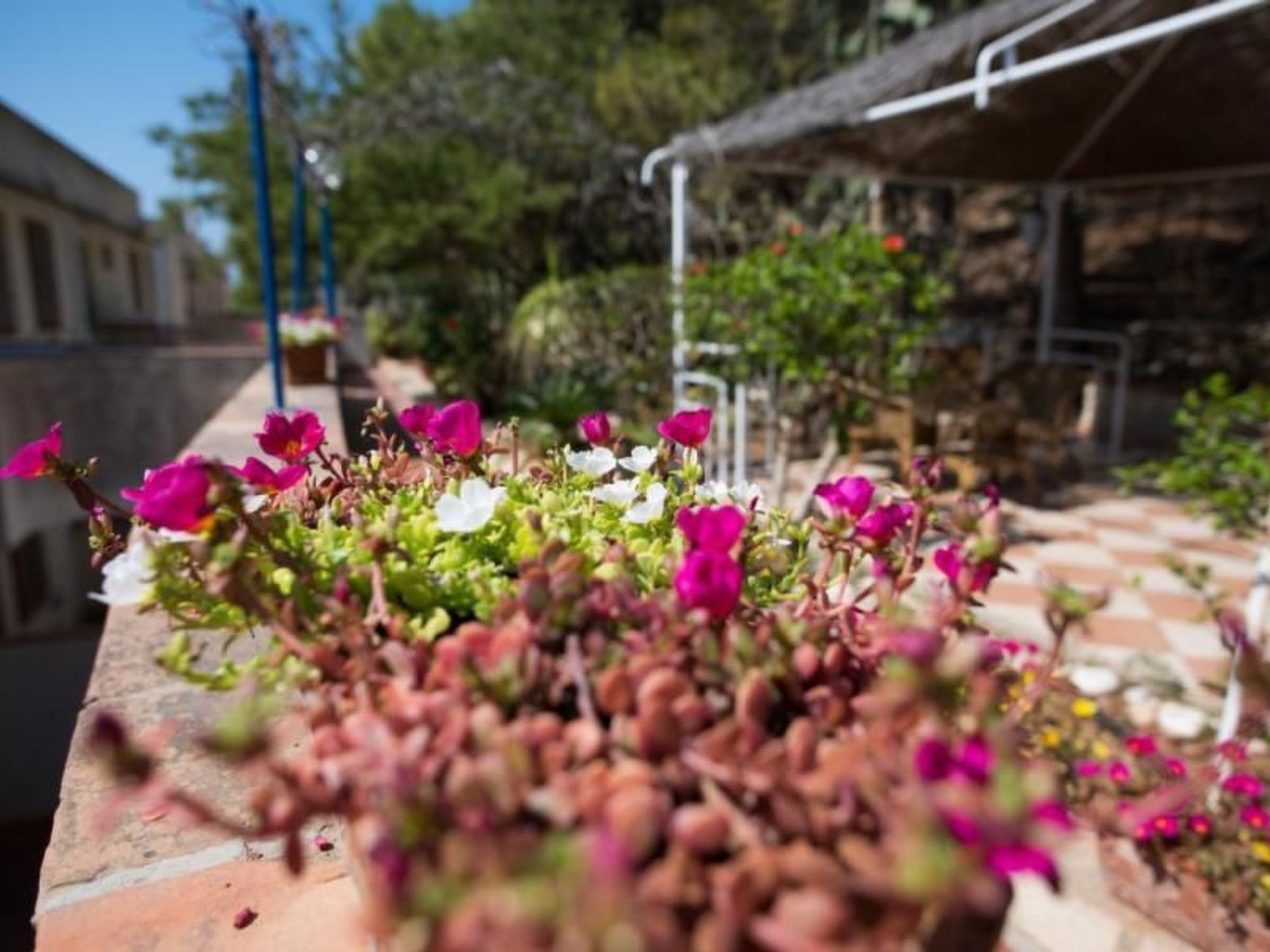 Appartement in Sciacca mit Terrasse und Garten-Binnen