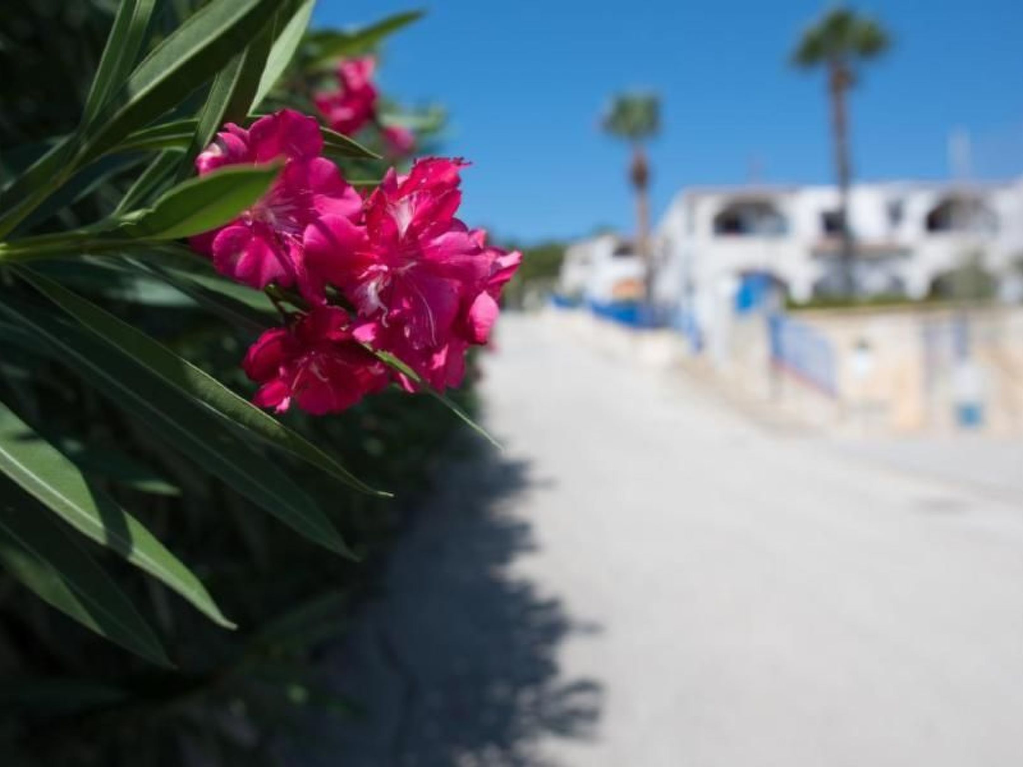 Appartement in Sciacca mit Terrasse und Garten-Binnen