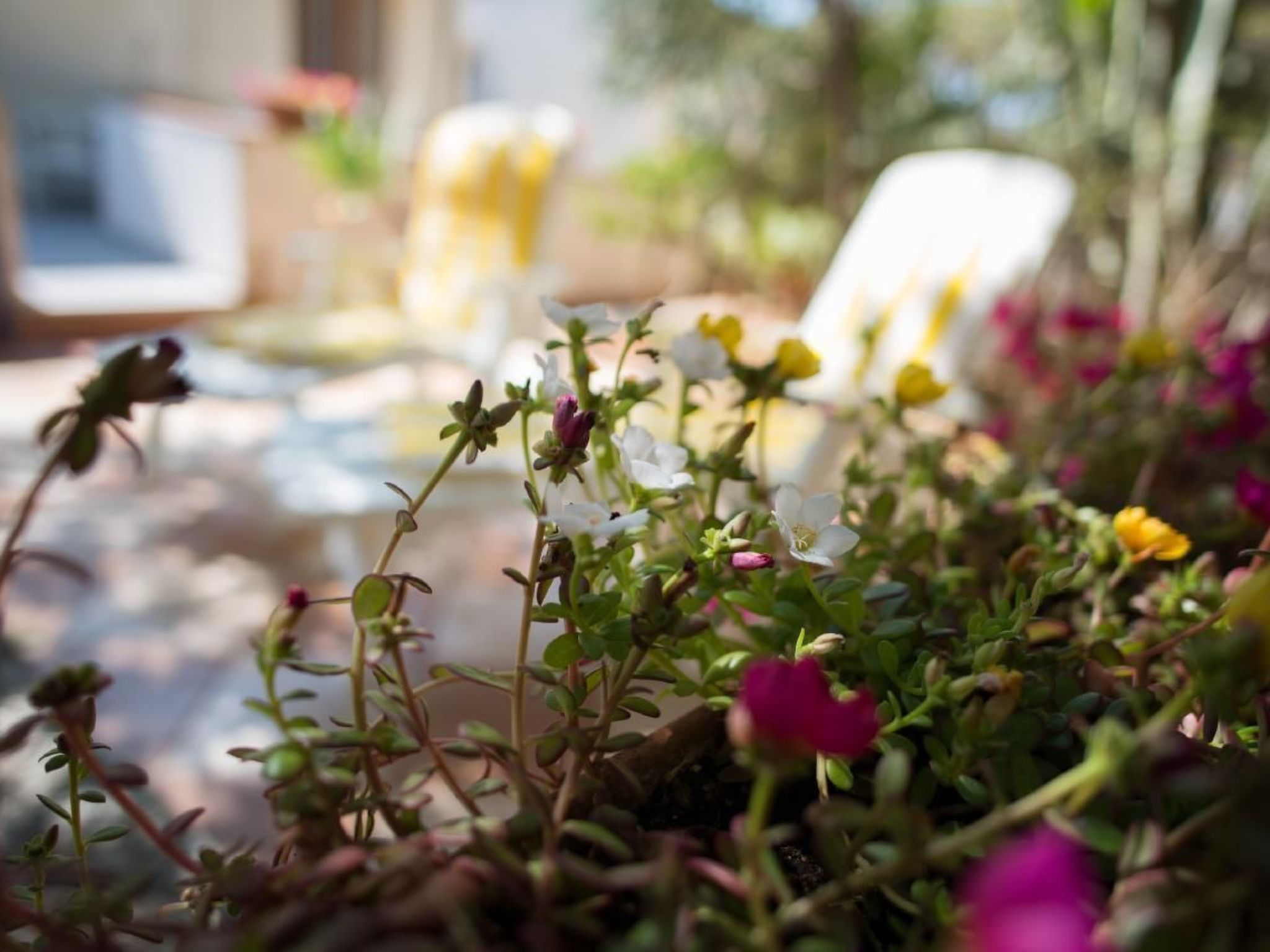 Wohnung mit Wasserblick-Inside