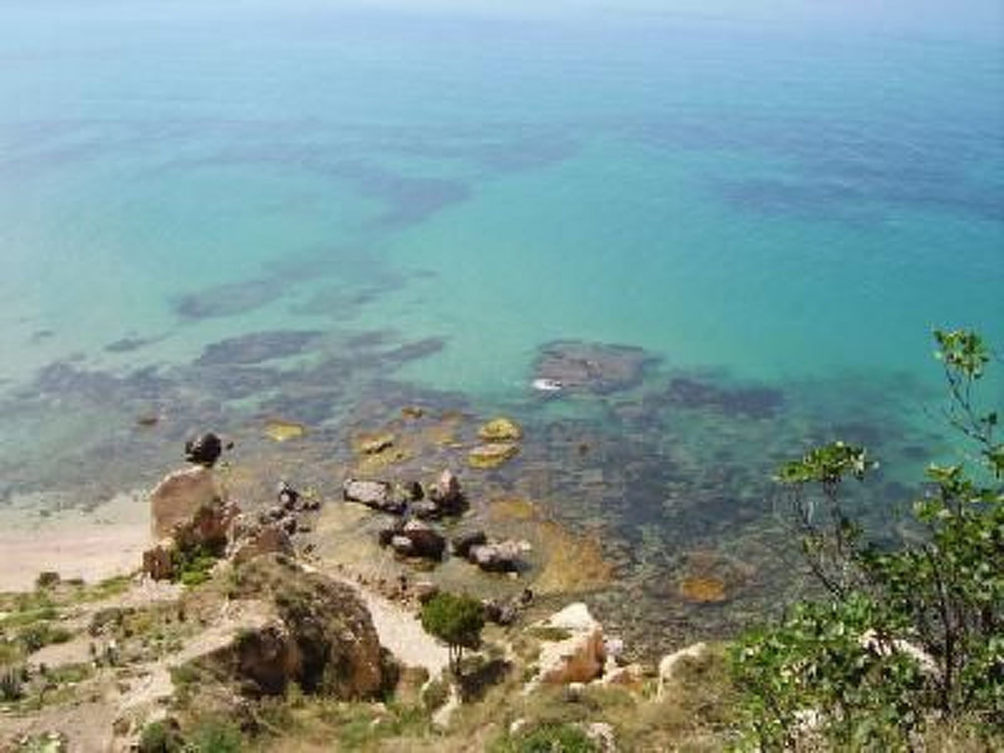 Tulpe Wohnung-Drinnen