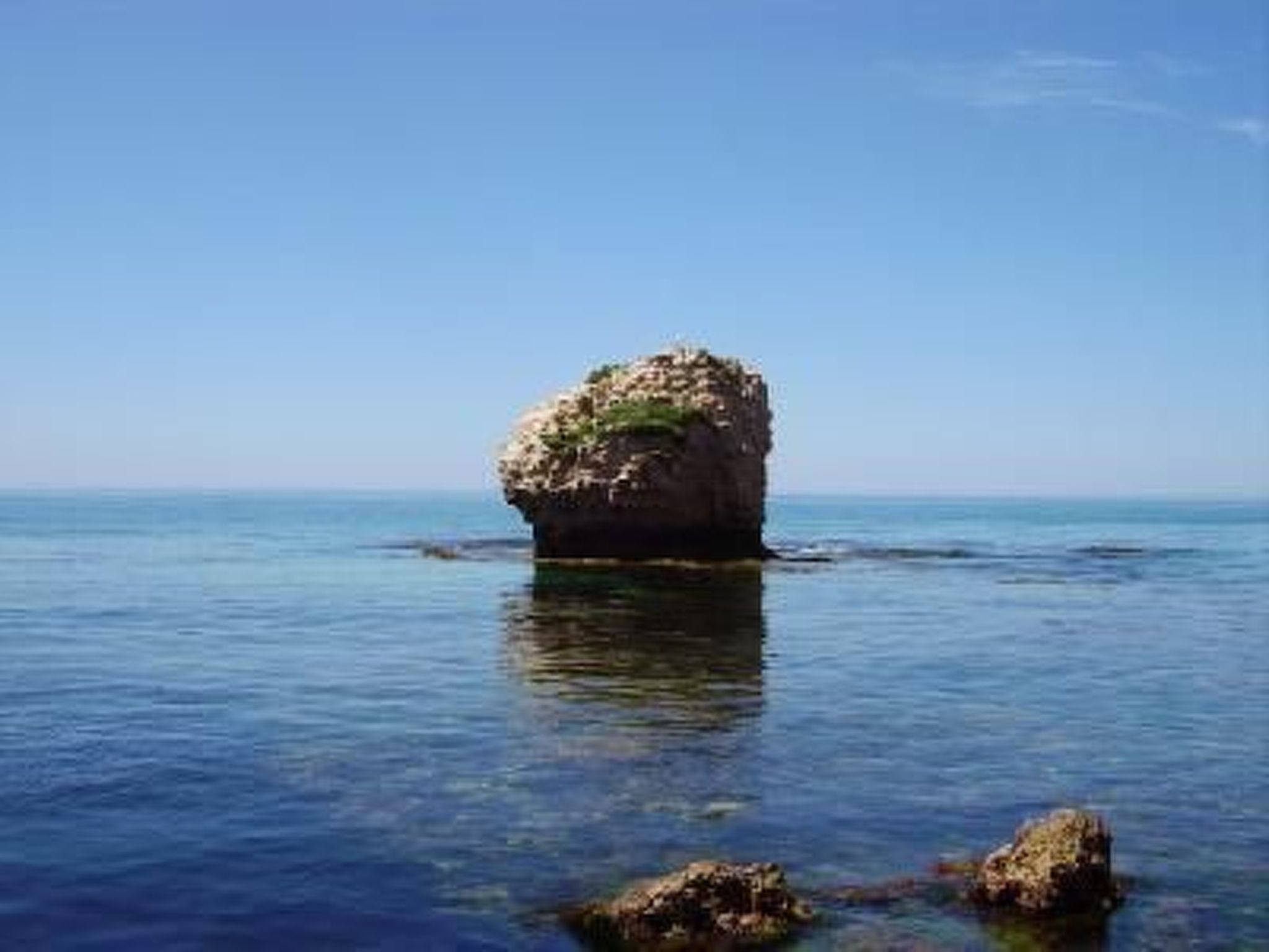 Tulpe Wohnung-Drinnen