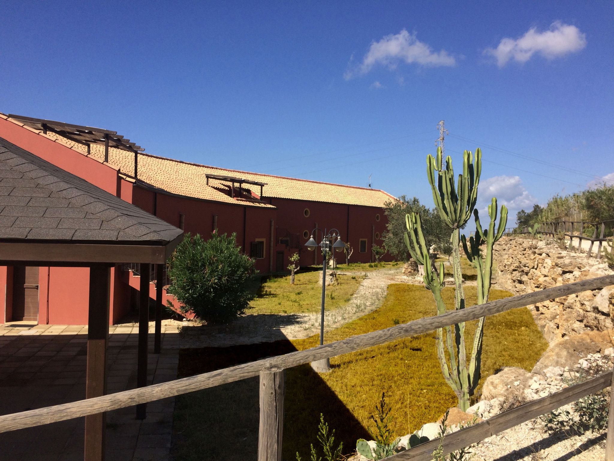 Azalea-Image-tags.info