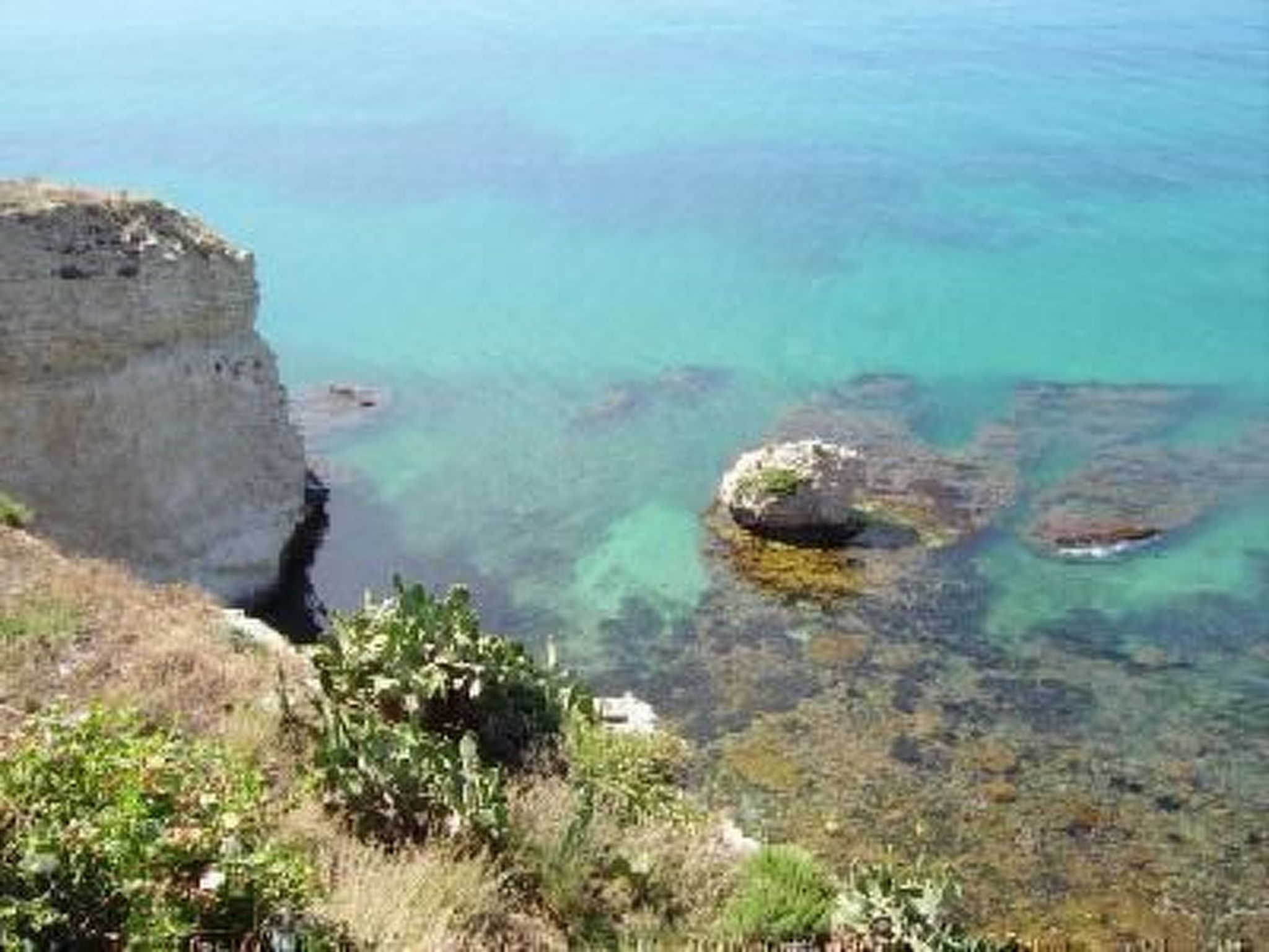 Azalea-Image-tags.info