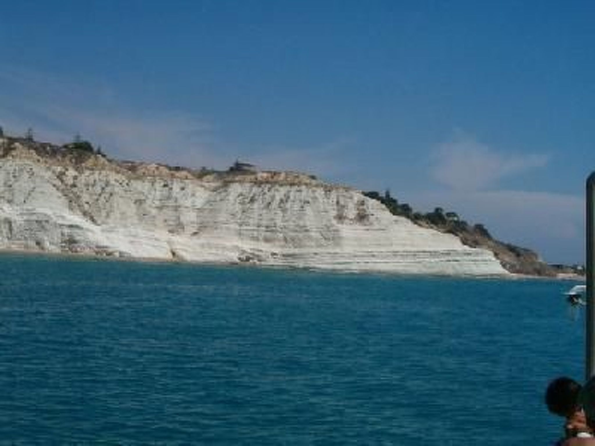 Azalea-Image-tags.info