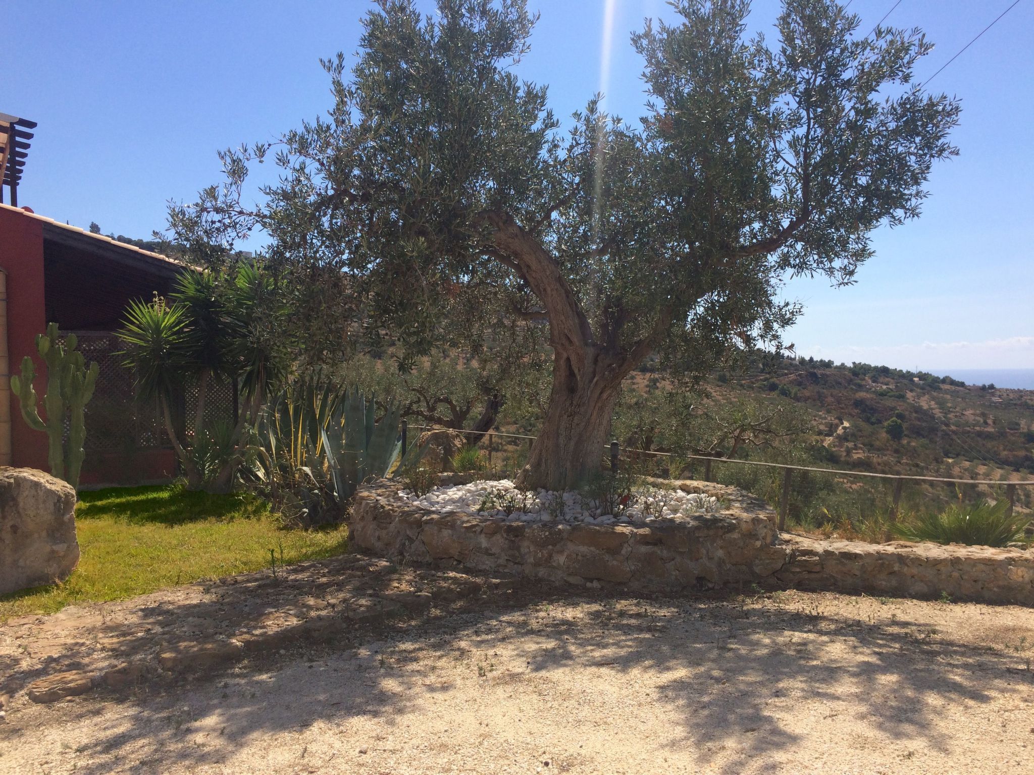 Azalea-Image-tags.info