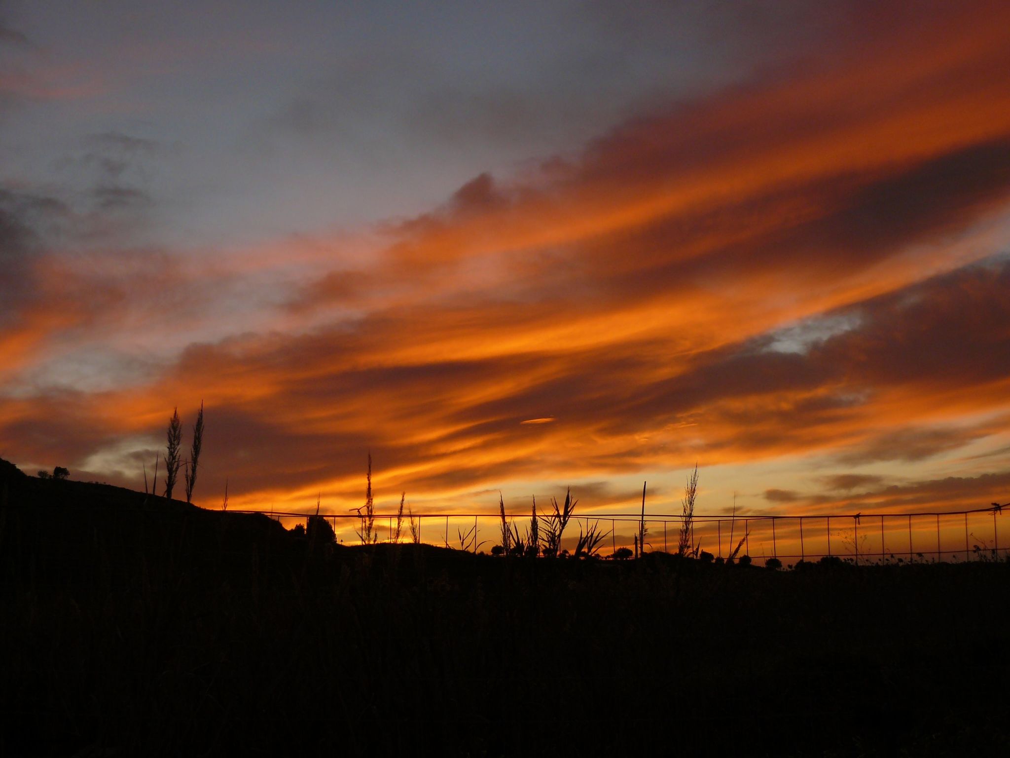 App 2 Studio-Wohnung 2 Plätze-Binnen