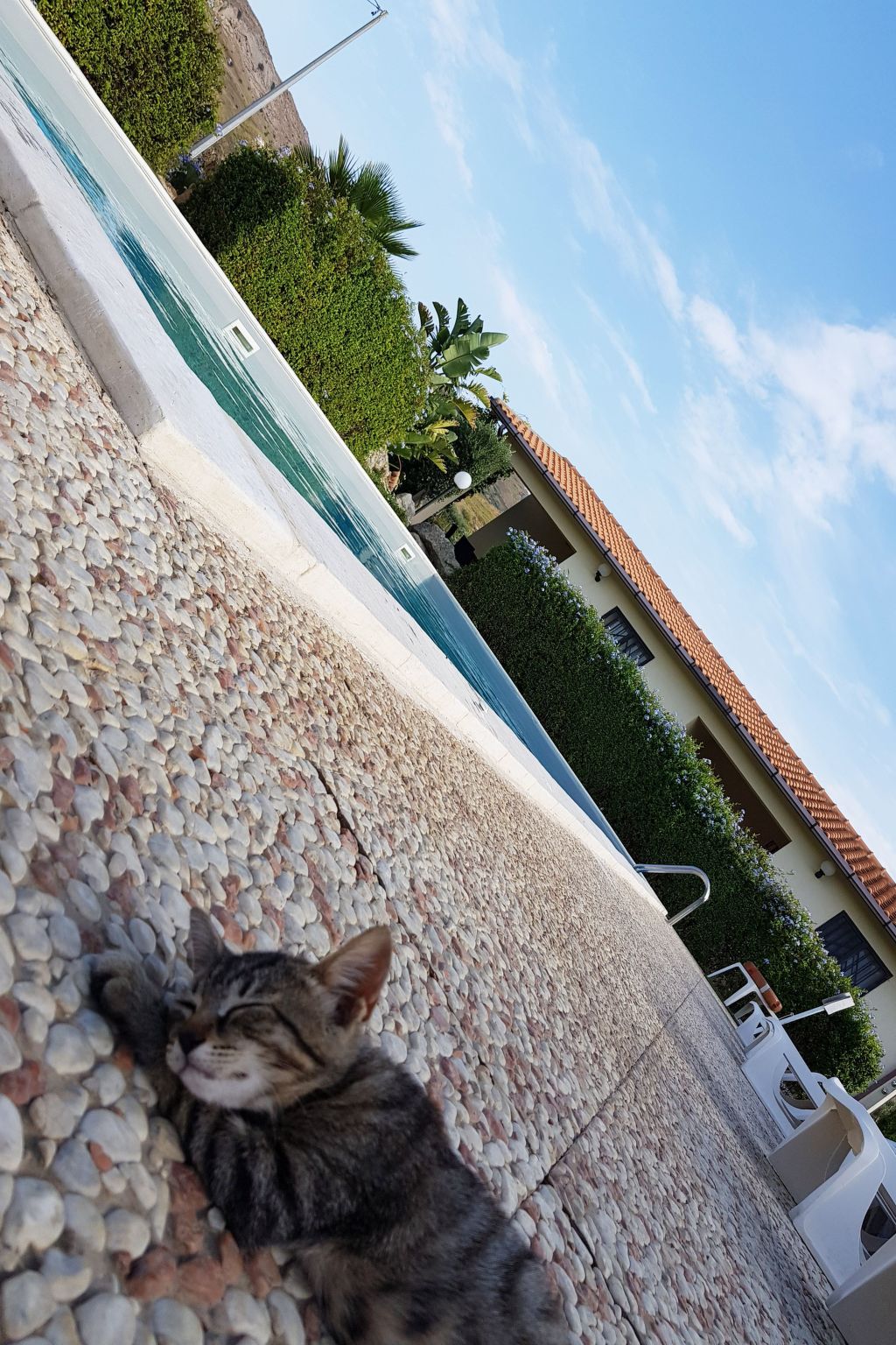 Wohnung 4 - Studio-Inside