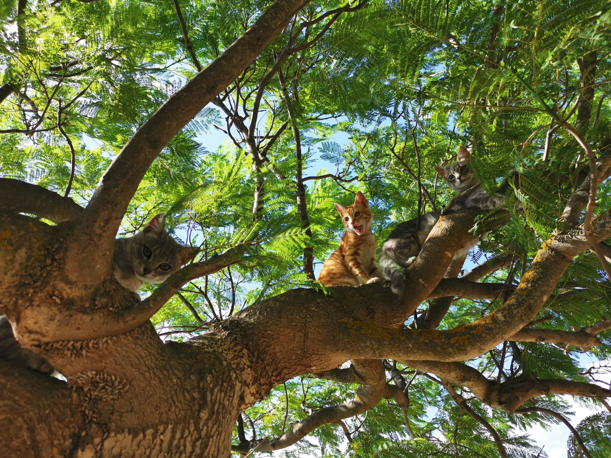 Wohnung 4 - Studio-Inside