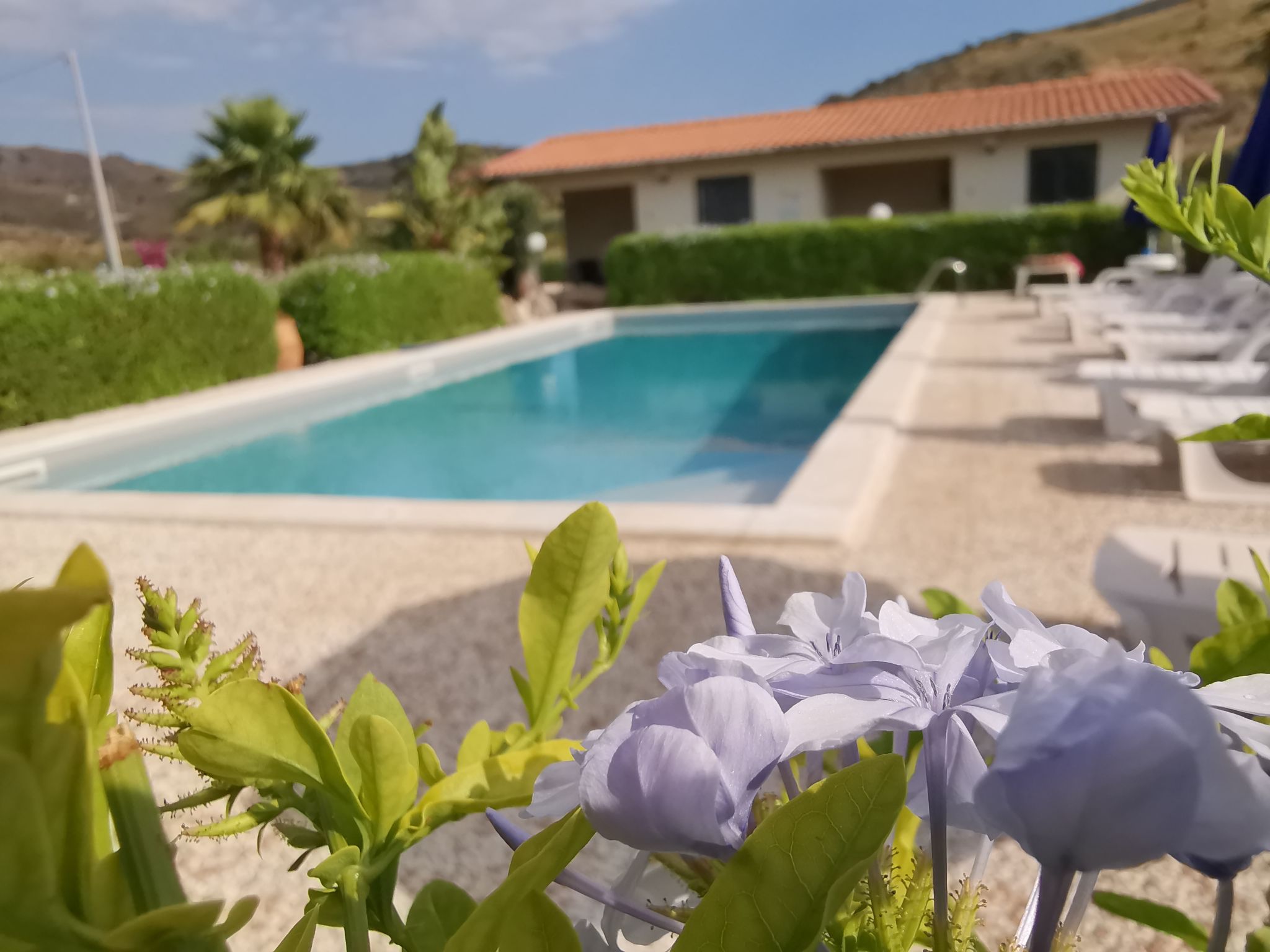 Wohnung 4 - Studio-Inside