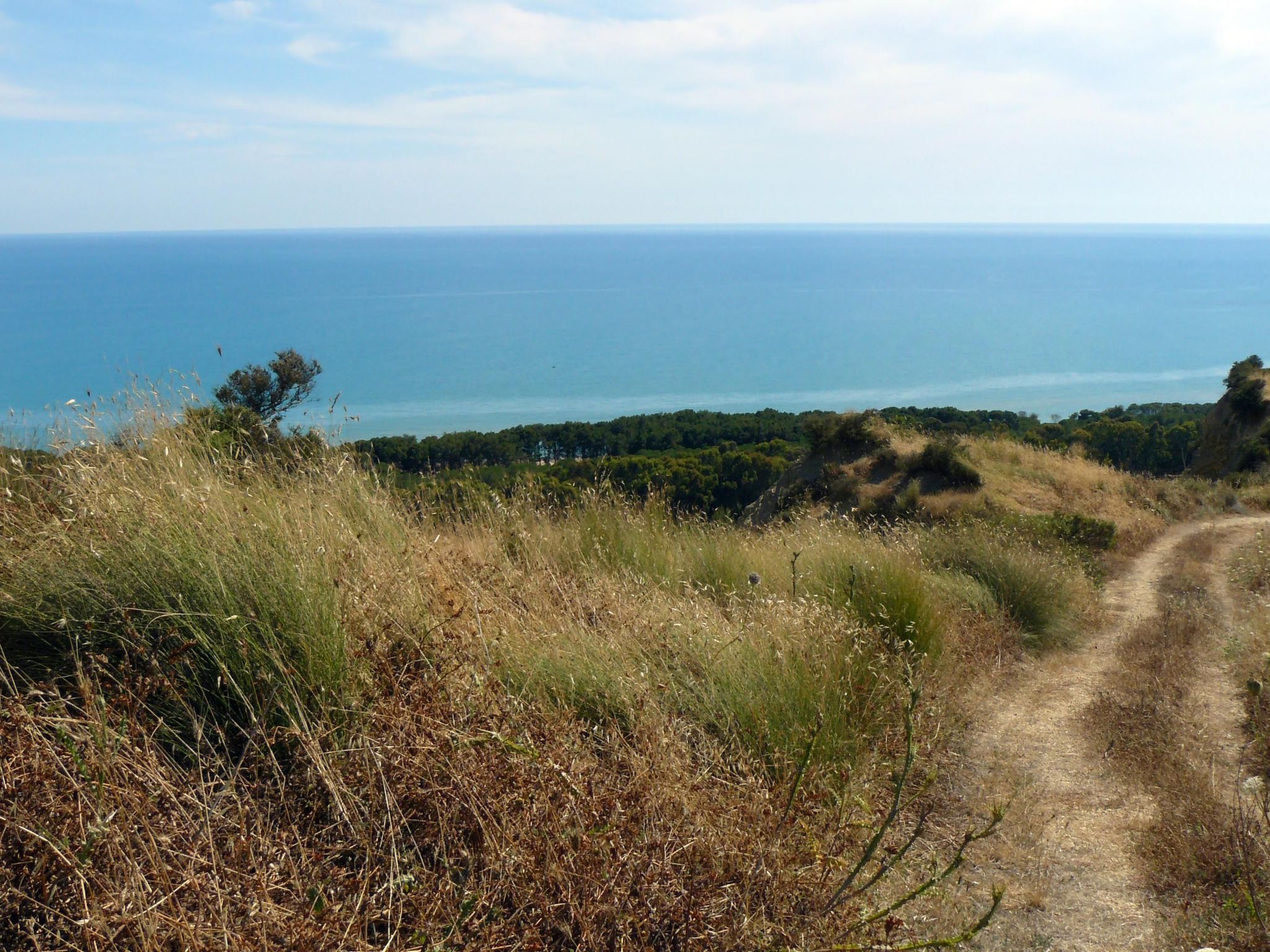 Wohnung 4 - Studio-Inside