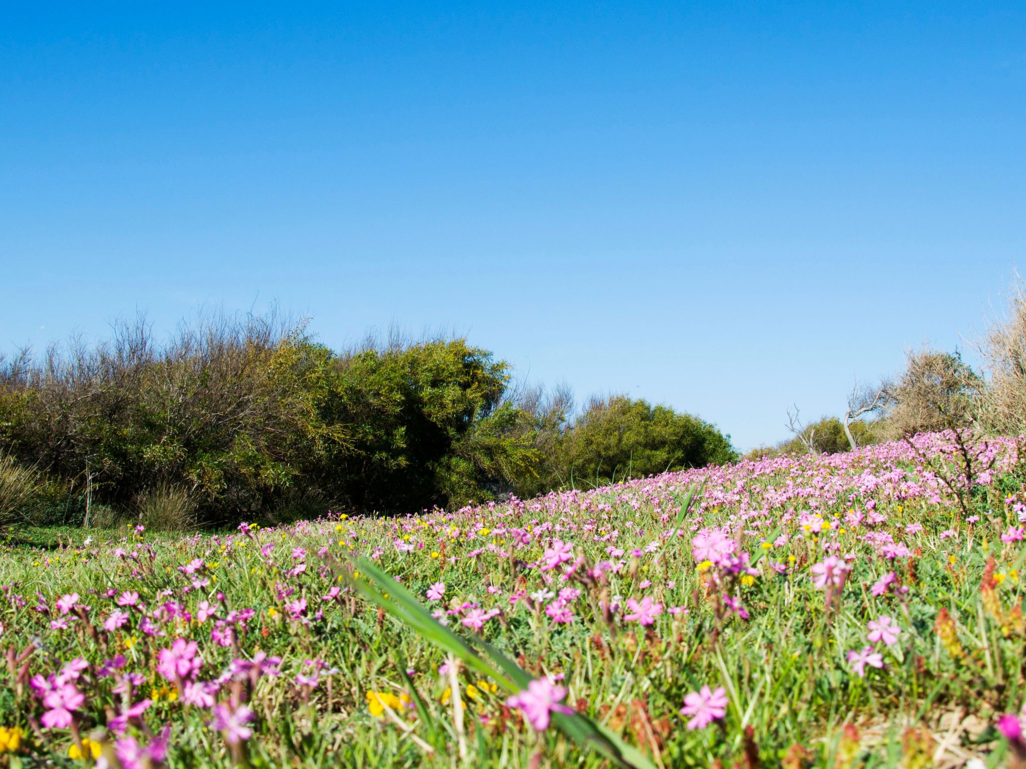 Wohnung 5 - Zwei-Zimmer-Wohnung-Inside