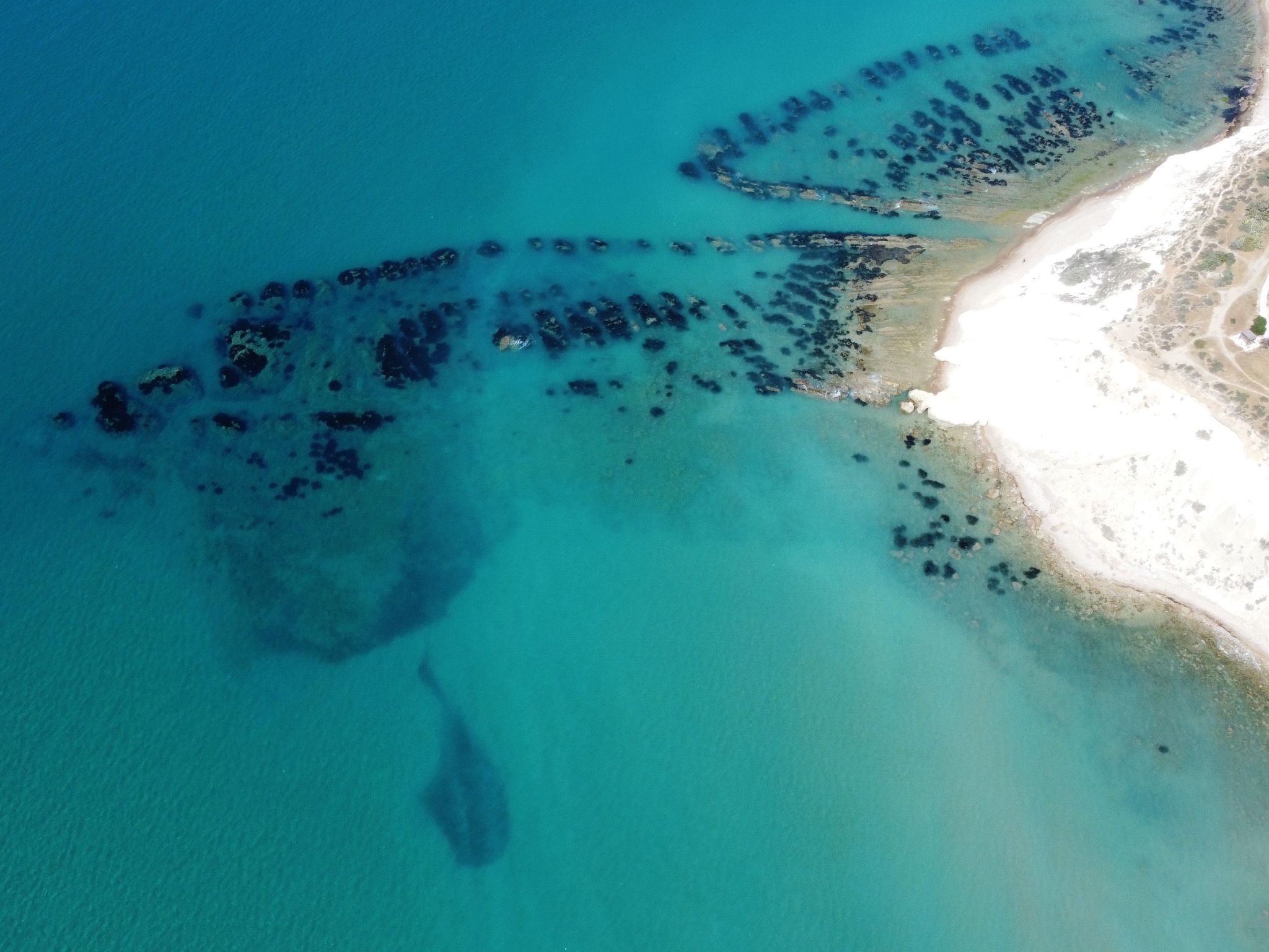 Wohnung 5 - Zwei-Zimmer-Wohnung-Inside