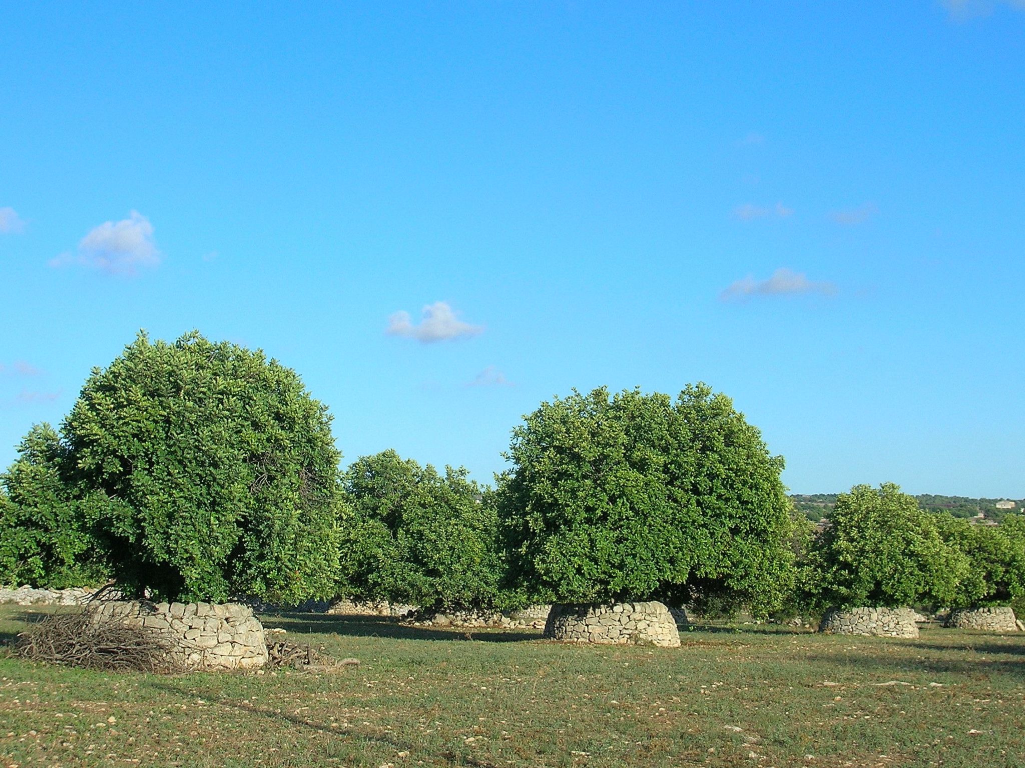 Charmantes Dachgeschoss mit Terrasse mit Blick auf die Landschaft.-Dedans