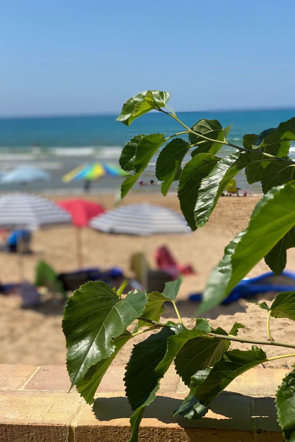 Casa Sunshine 2.0 - Vacanze al mare — Terrace (5 of 41)