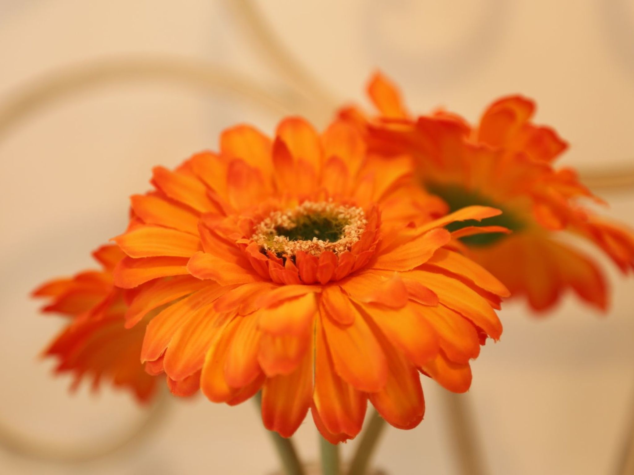 Casa Elena, Ragusa, Stadtzentrum-Dedans