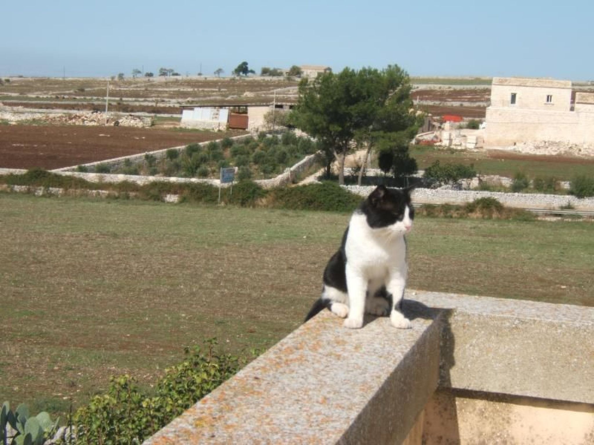 "Villa mit Pool-Binnen